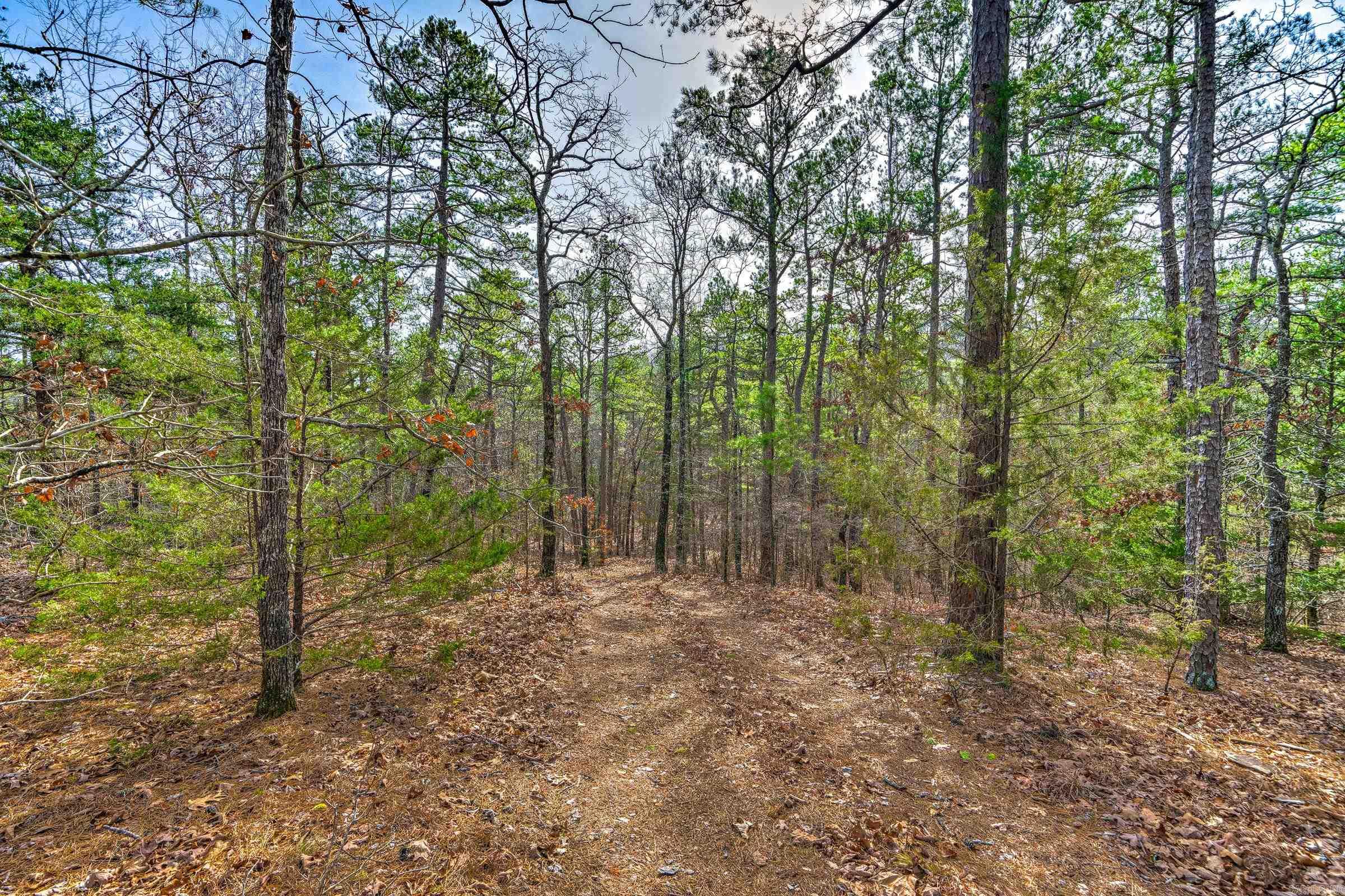 Board Camp - Land