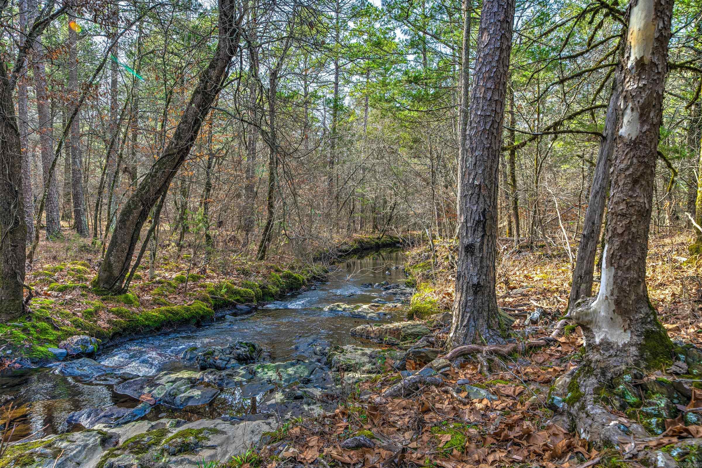 Board Camp - Land