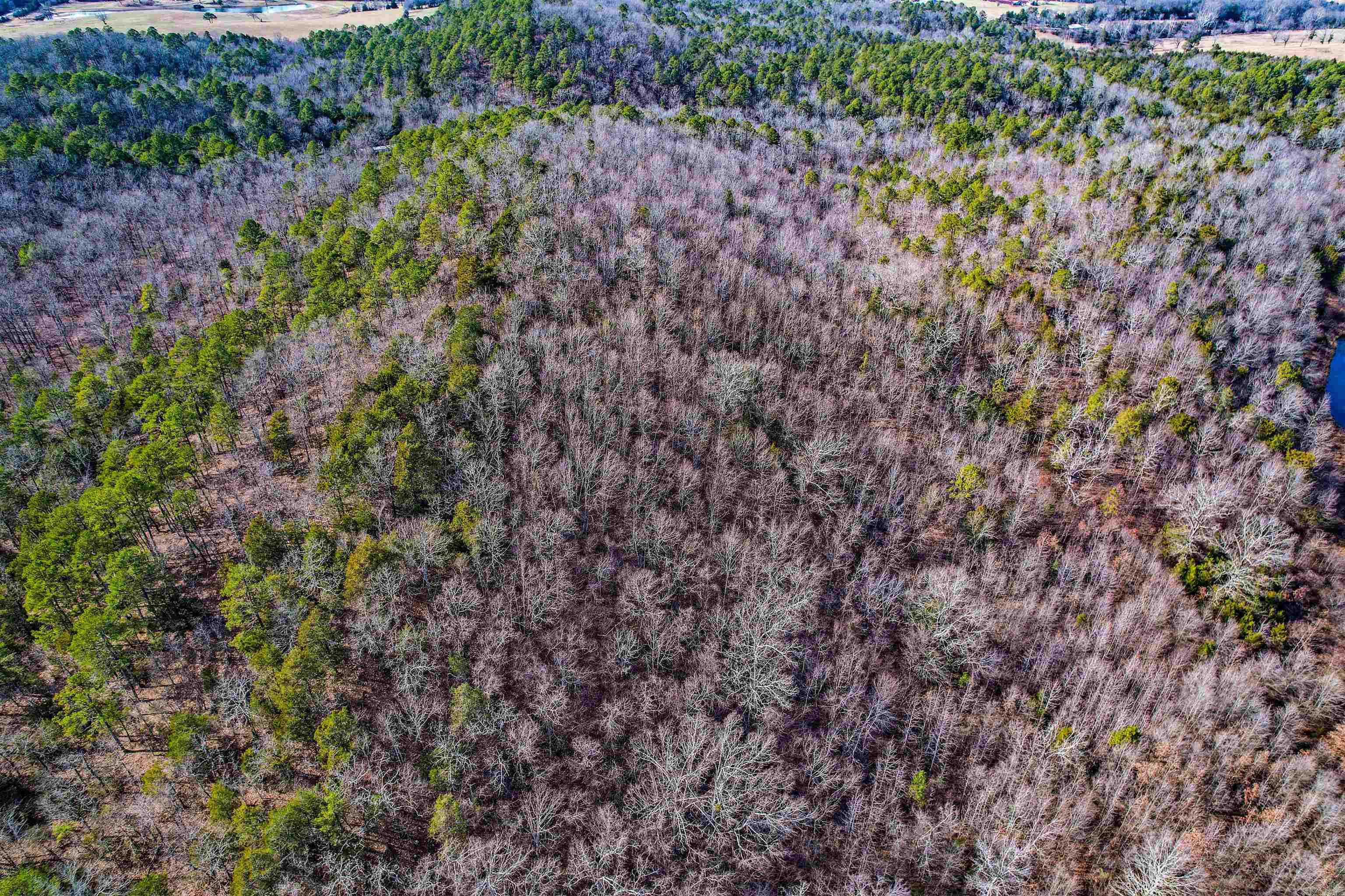 Board Camp - Land