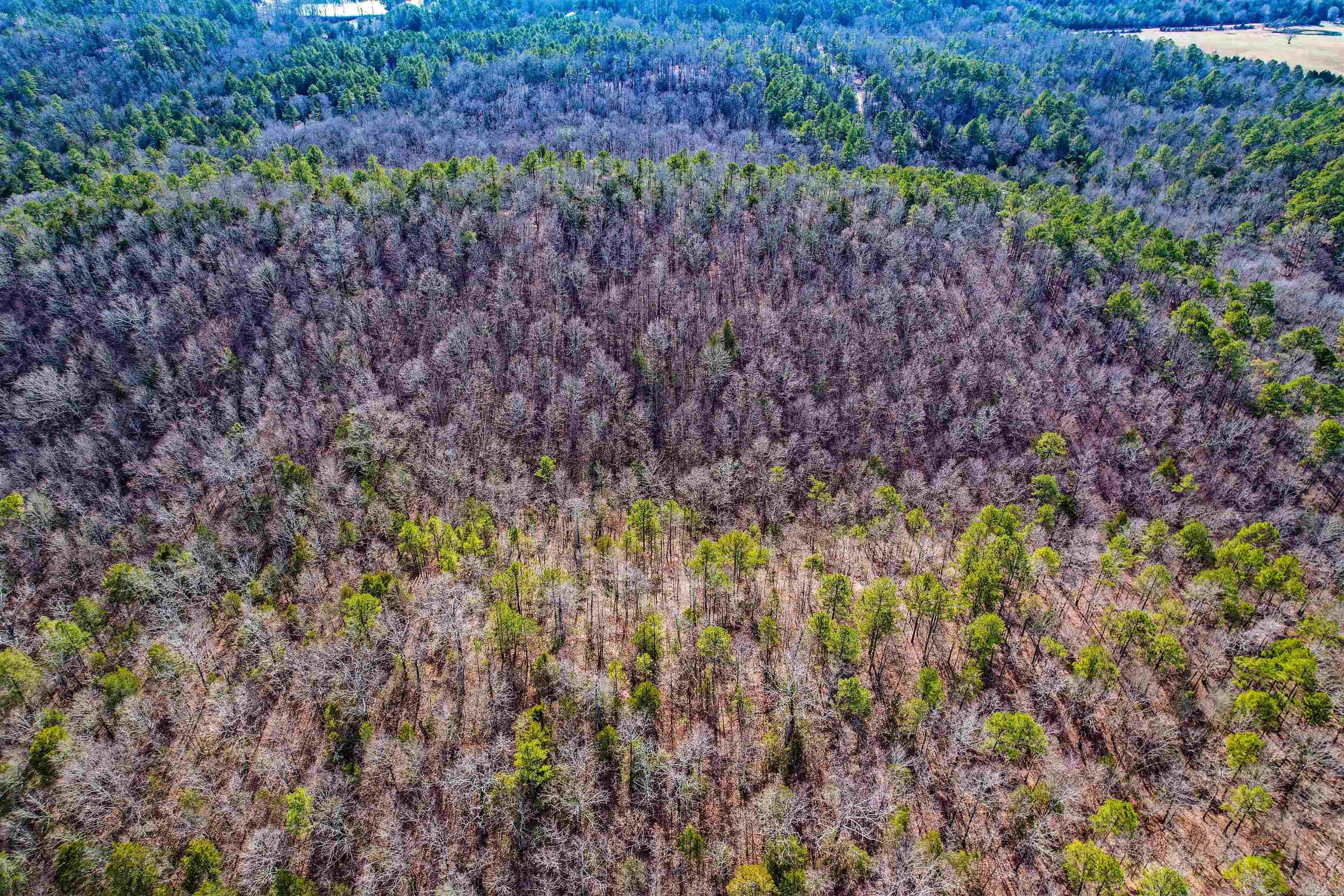 Board Camp - Land