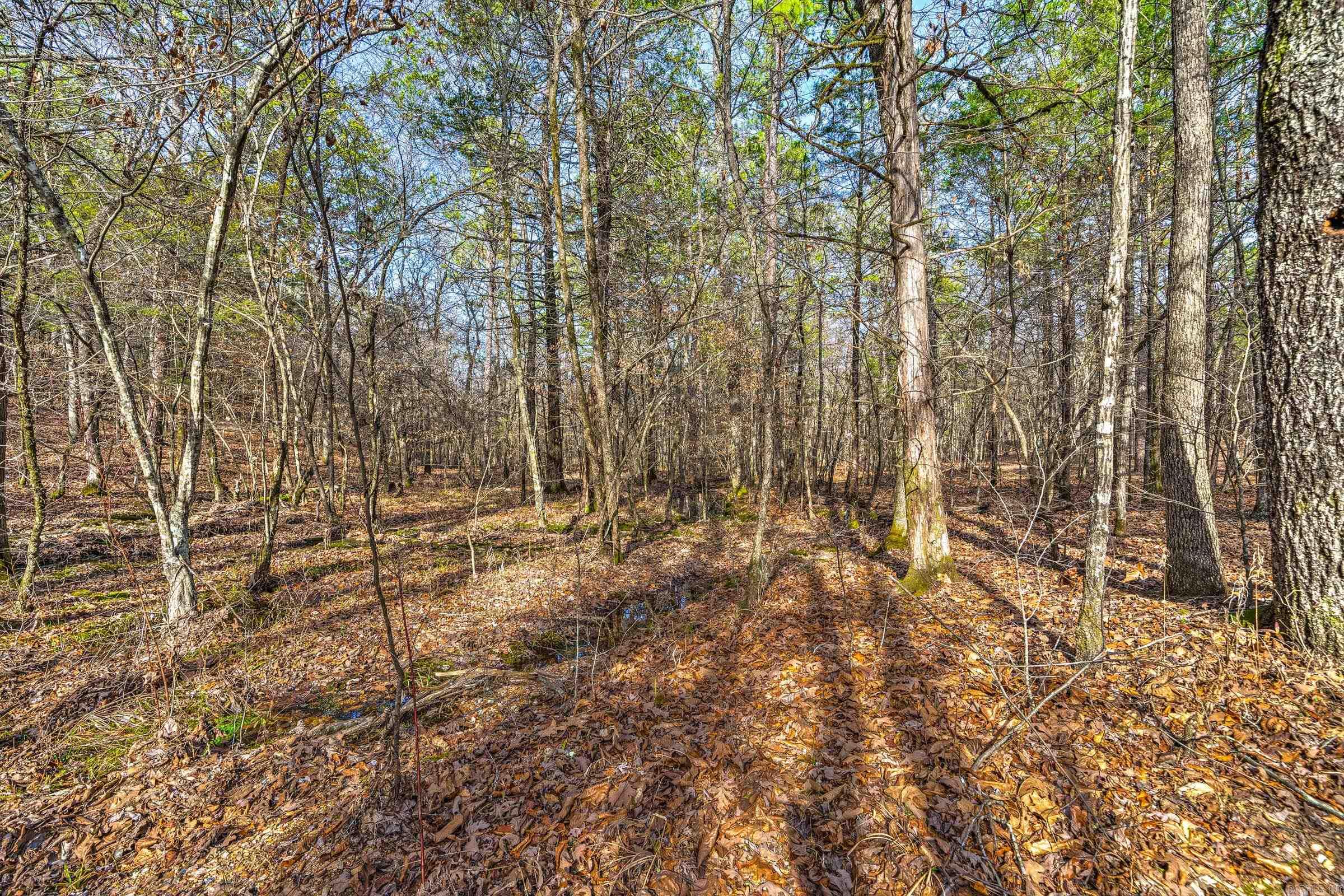 Board Camp - Land