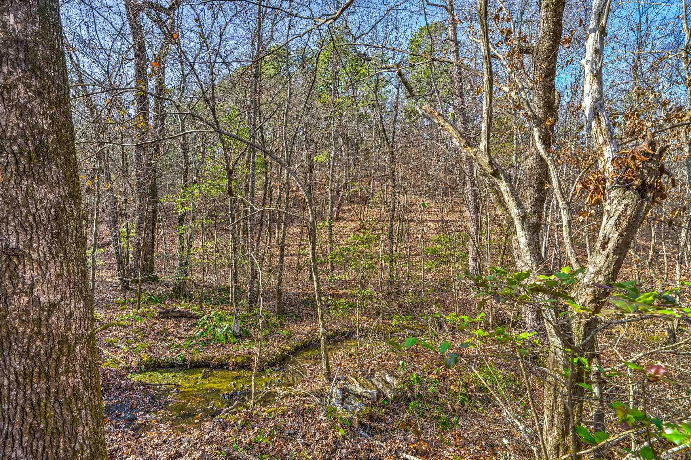 Board Camp - Land