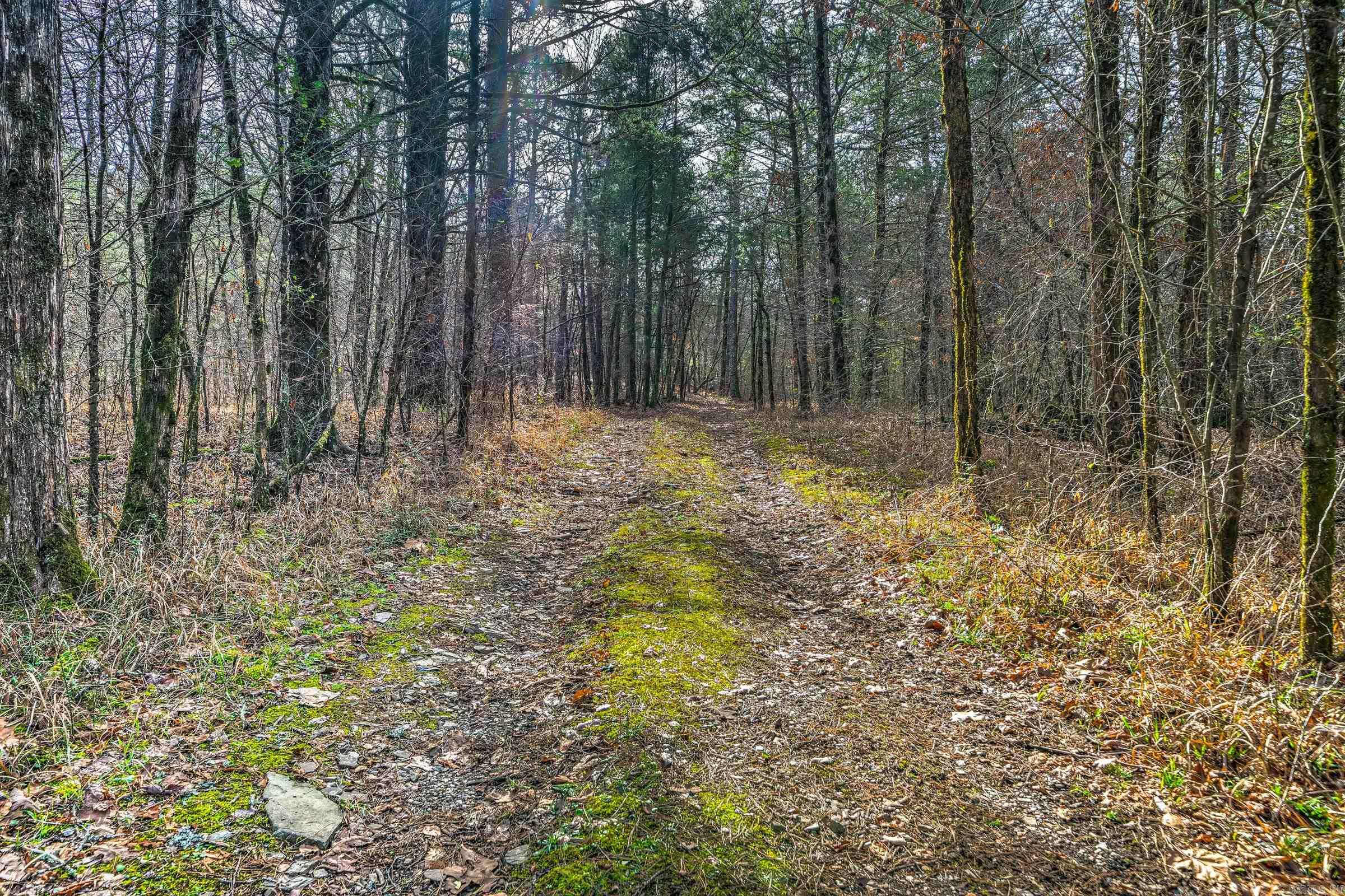 Board Camp - Land
