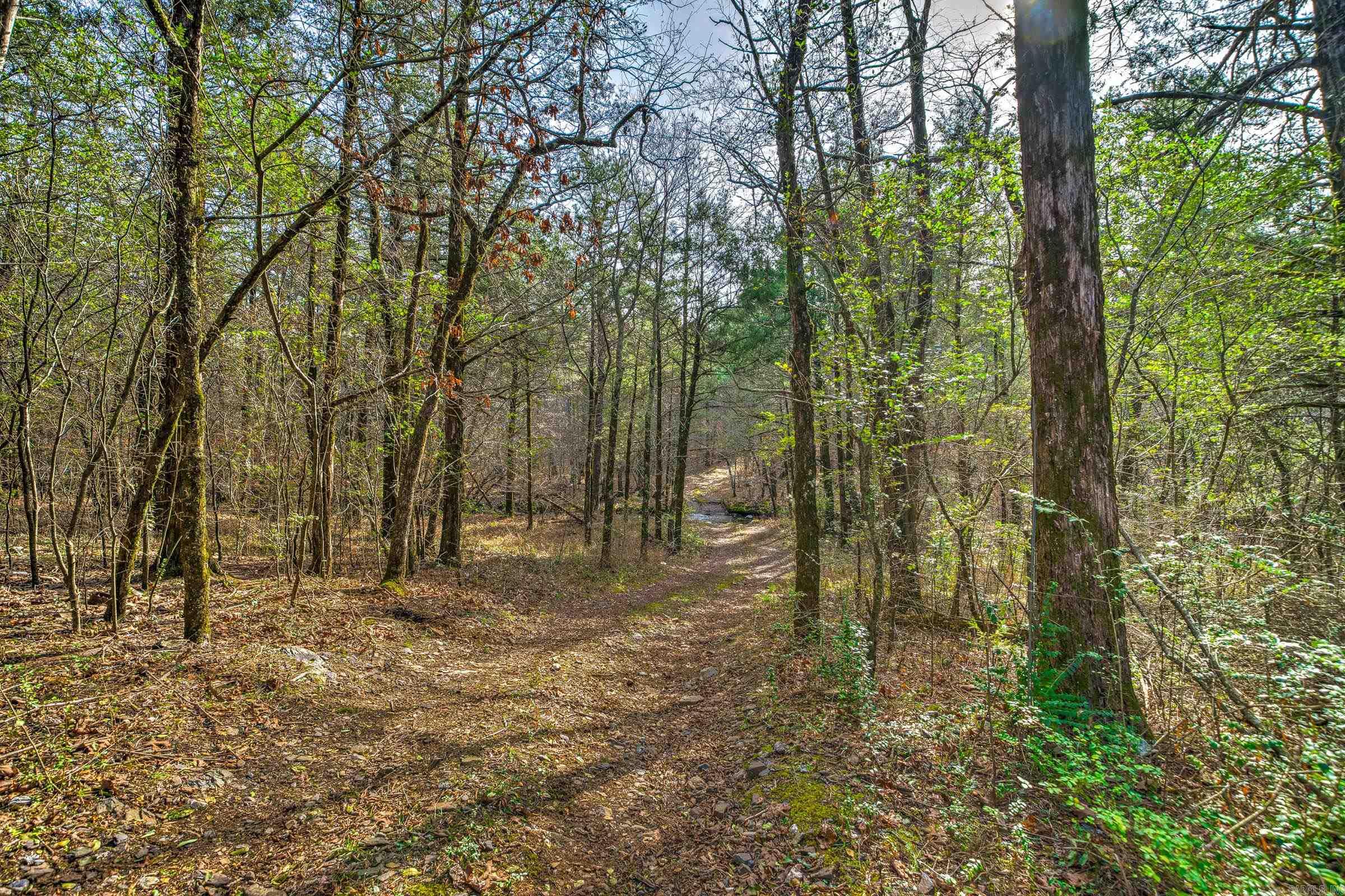 Board Camp - Land