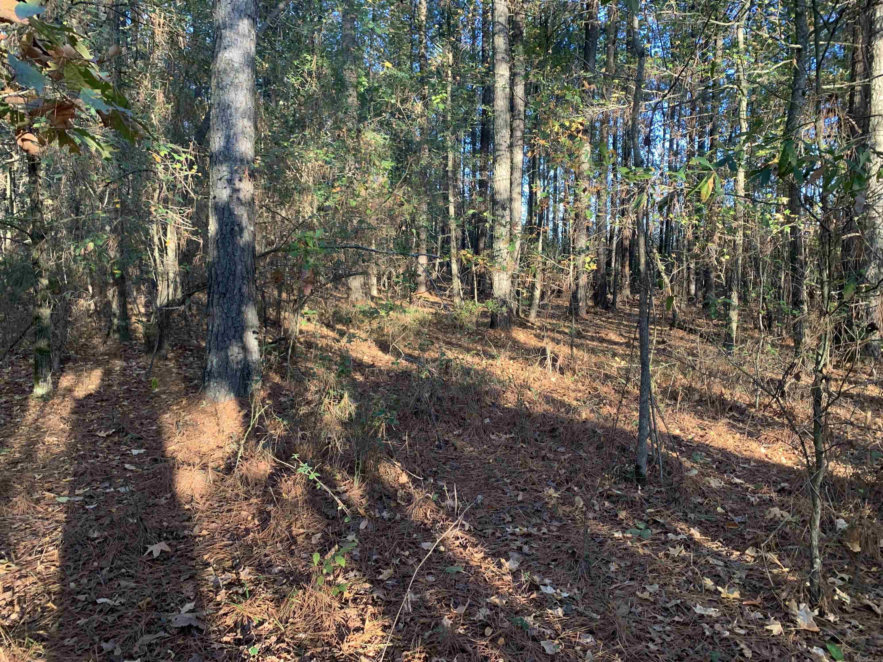 Here it is!!!  5000+ feet of usable red River Frontage with almost perfect bluff(less than 30 feet tall) along entire length!!!  A road has been installed along the river bank allowing for excellent access.  Several pastures are either maintained or require easy cleaning using fire/cutter/mulcher or combination.  Pond access and boat access on the property while river is at normal pool.  Hardwoods permeate the entire property with a forty+- acres of pine ready for a second thinning.  Several creeks drain the property and additional ponds could easily be built for lot development along the river.  All game species represented on this track except for elk. World Class Trout (Rainbow, Brown, Cutthroat) fishing along the river, Turkey, Deer, Bear, Hogs, Beaver, Predator Hunting, and small game are all avaiable on this wonderful tract.  Pangburn is less than 15 minutes with Heber Springs and Searcy Arkansas located less than 30 minutes.  Mature Forrest represent over half the acerage, with pasture that needs to be reclaimed for development opportunities.  Well water is used on this portion of the Old River Road municipal water stop less than a mile from the property.