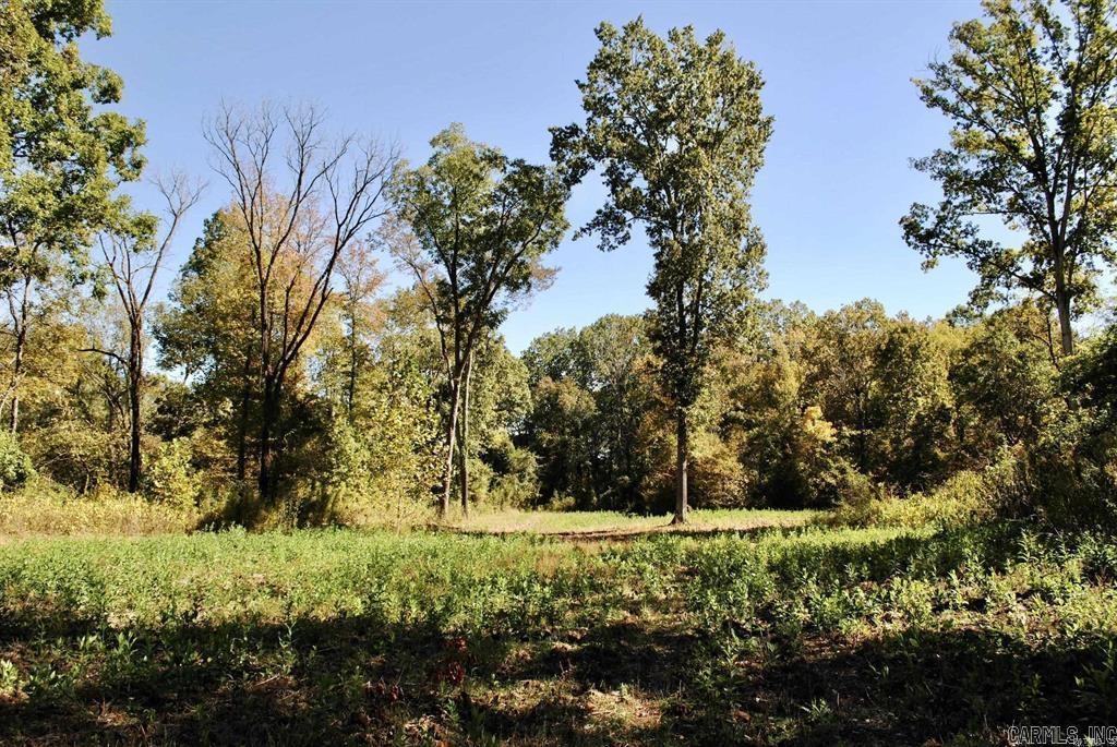If you are looking for recreational property with an outstanding deer and turkey hunting history, this one deserves a serious look! Featuring nearly ¼ mile of frontage along the scenic Fourche Lafave River, the property also offers excellent fishing opportunities to complement the exceptional hunting. Bordered by the Ouachita National Forest and accessed by a Forest Service road, the property is ideally set up for easy access and outdoor enjoyment. Habitat features include approximately 3 acres of rich, fertile soil currently serving as a highly productive food plot, positioned alongside a healthy mix of scattered acorn-producing hardwoods that provide outstanding wildlife habitat and attract abundant game year after year.