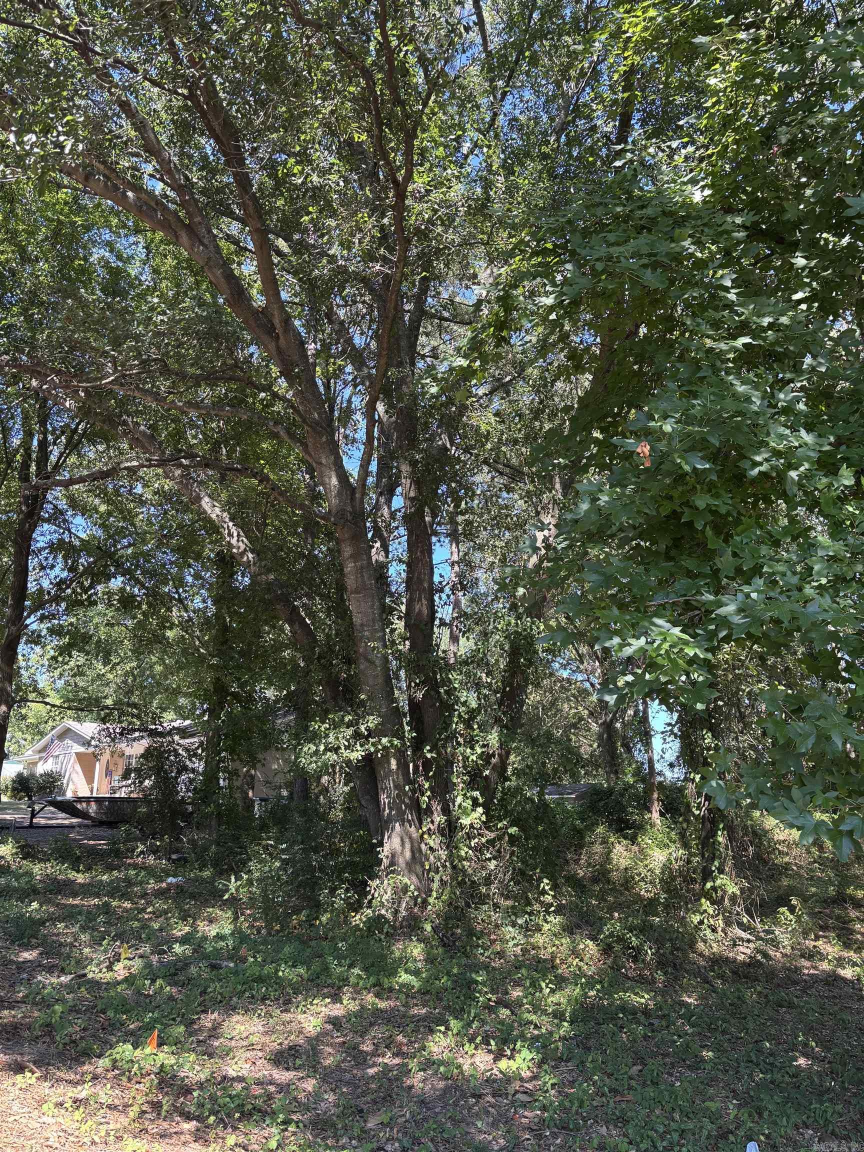 Replat Spring Hill - Land