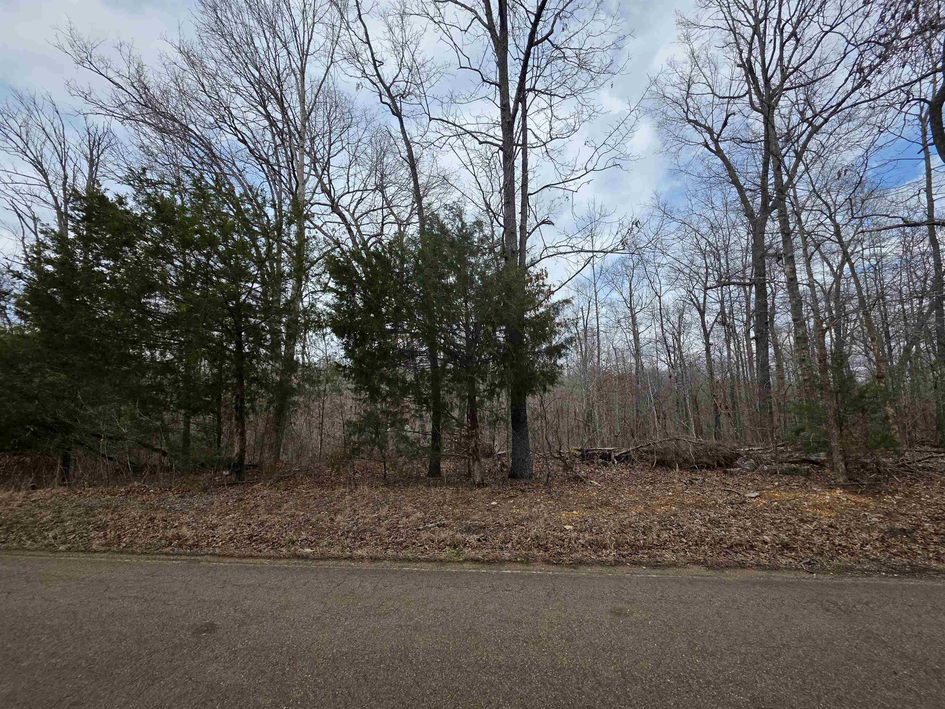 Nice lot on Summit Ridge Rd. One of the main throughfares in Ozark Acres. This lot has great road frontage and a gentle downslope down to a small valley and powerline easement. Power and water are available at the street. Schedule some time to ride out and get a look at this lot and pick your spot to build you vacation cabin, a winter home or even your forever home. Ozark Acres has 2 lakes and is located just down the road from Ole Hardy town for great shopping, dining and entertainment. Not to mention the beautiful Spring River. There are 5 other lots available as well all right next to each other.