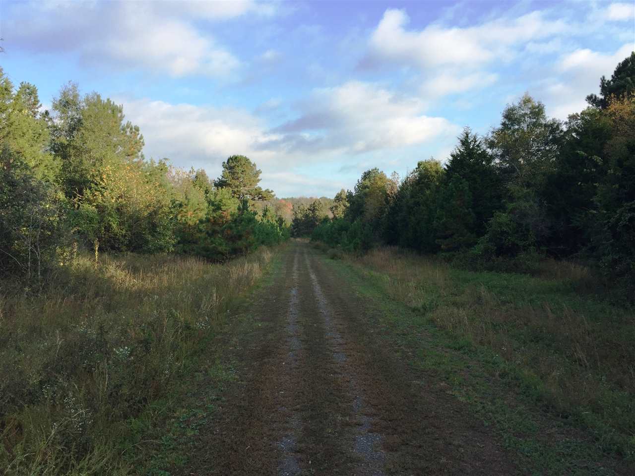 Arnoldsburg Estates - Land