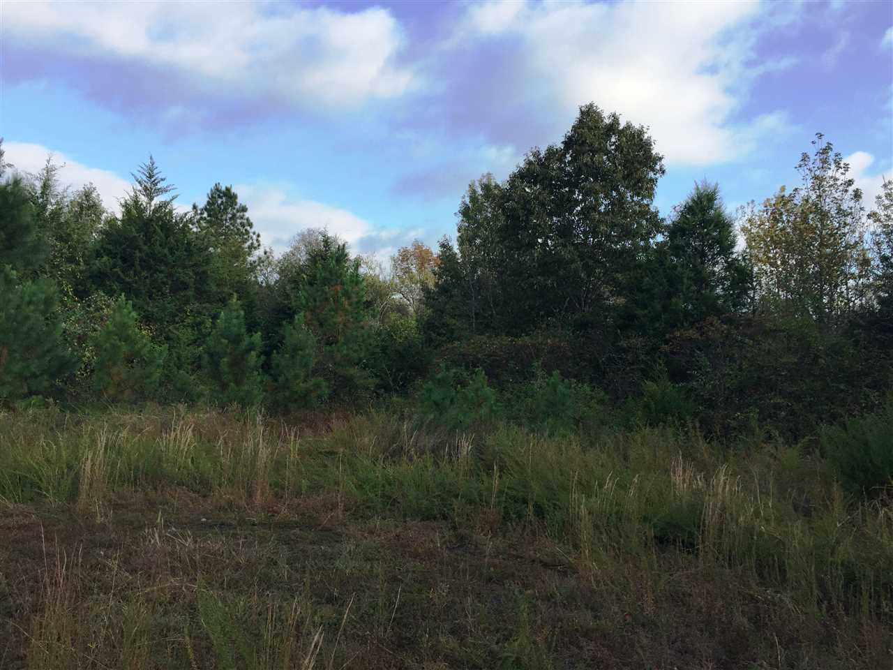 Arnoldsburg Estates - Land
