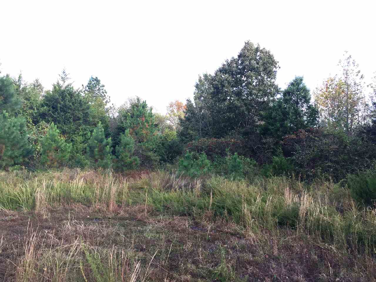Arnoldsburg Estates - Land