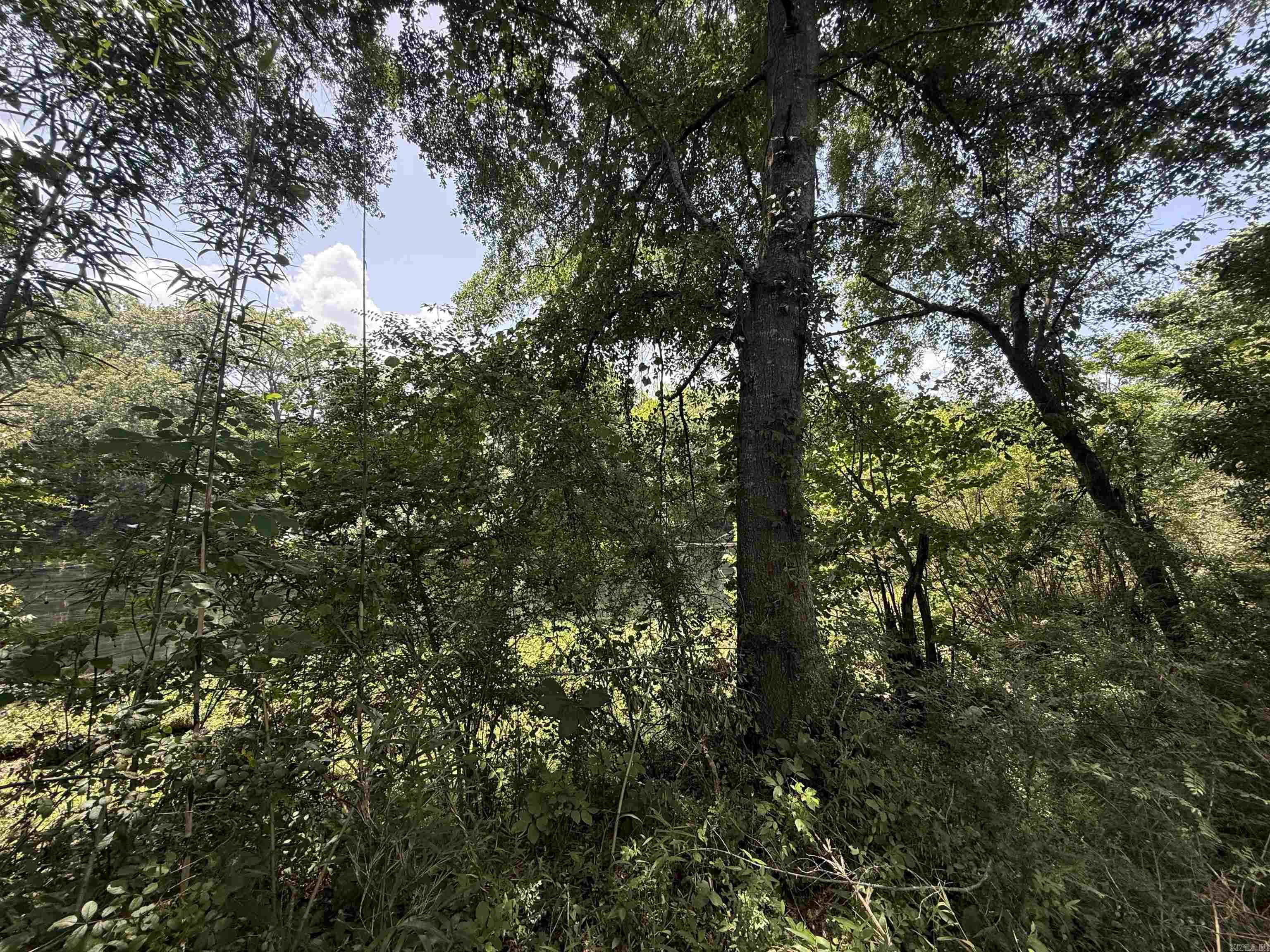 New Development inside the city limits of Heber Springs. River Wood Ranch has flat cleared lots and 19 lots along the river with trees. City sewer and water are available. Boat Ramp and Boat Dock will available by the first of 2027 for use by the residents of the subdivision. There are 8 lots that back up to the lake with views of the lake and Sugarloaf Mountain. Roads are currently gravel but as the lots are developed the roads will be paved.