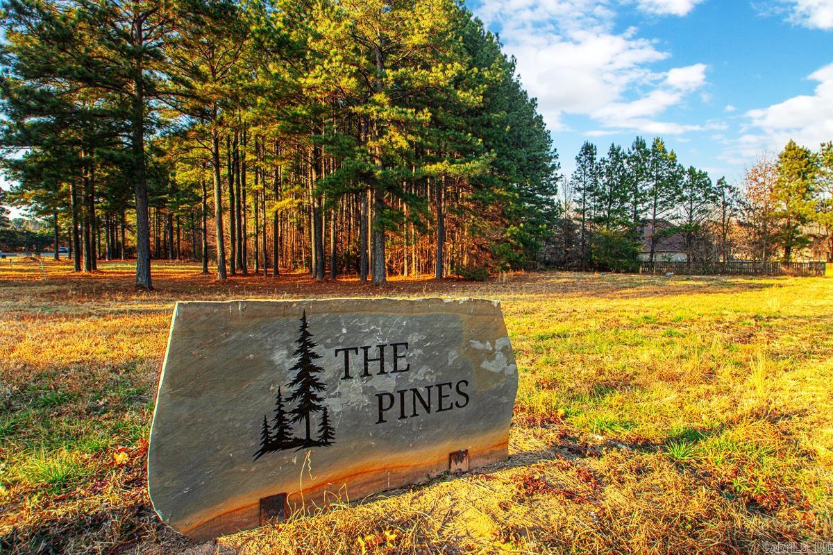 The Pines - Land