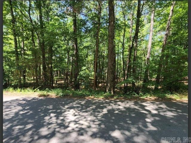 16,400 square foot wooded lot in the highly desirable Hot Springs Village community. This land is on a well-established street, is very level in gradient and has water and power services at the street for future connections. In the winter there is a partial lake view, but trees obscure this for most of the year. Between this land and the lake is the street and a narrow HOA easement which means you will enjoy a great scenic view from both the front and back of your dream home. The lake Coronado boat ramp is only 6 houses away so this is a very desirable lot.