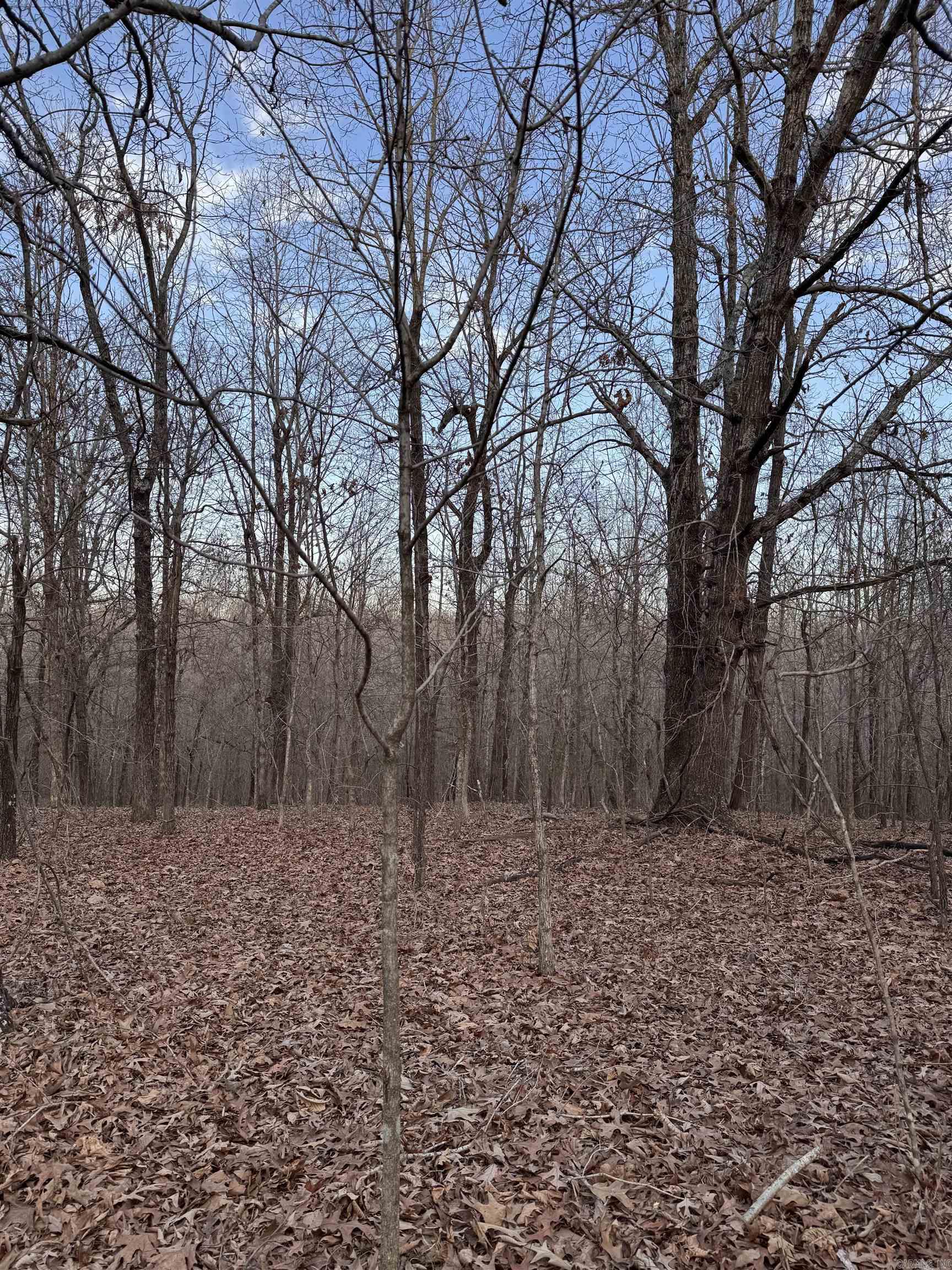 Not in Subdivision - Land