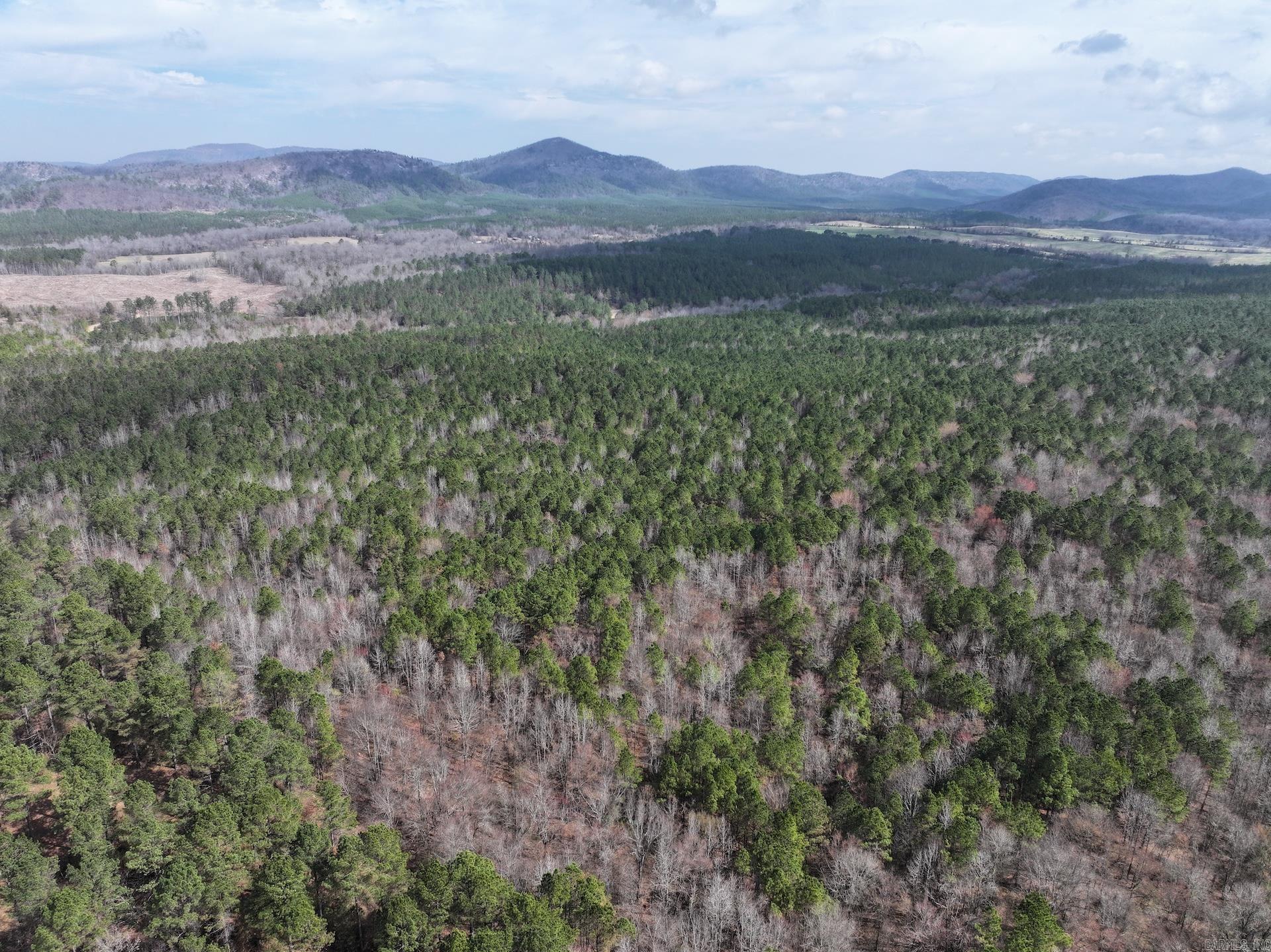 Approximately 40± acres of raw, wooded land in the Langley, AR area, ideally located just about 5 miles from Albert Pike Recreation Area. Exact acreage to be determined by a new survey.  Surrounded by the natural beauty of the Ouachita Mountains, this property is conveniently located near some of southwest Arkansas' most popular outdoor destinations, including Little Missouri Falls, Shady Lake Recreation Area, and approximately 6± miles from 70 Landing at Lake Greeson. Whether your interests include hunting, hiking, camping, fishing, or simply enjoying the outdoors, this location offers endless opportunities for recreation.  The property is heavily wooded, providing privacy, abundant wildlife habitat, and excellent potential for a private hunting retreat, recreational getaway, future homesite, or long-term land investment.  This property is also available as part of an approximately 80± acre tract (MLS # 26008121).