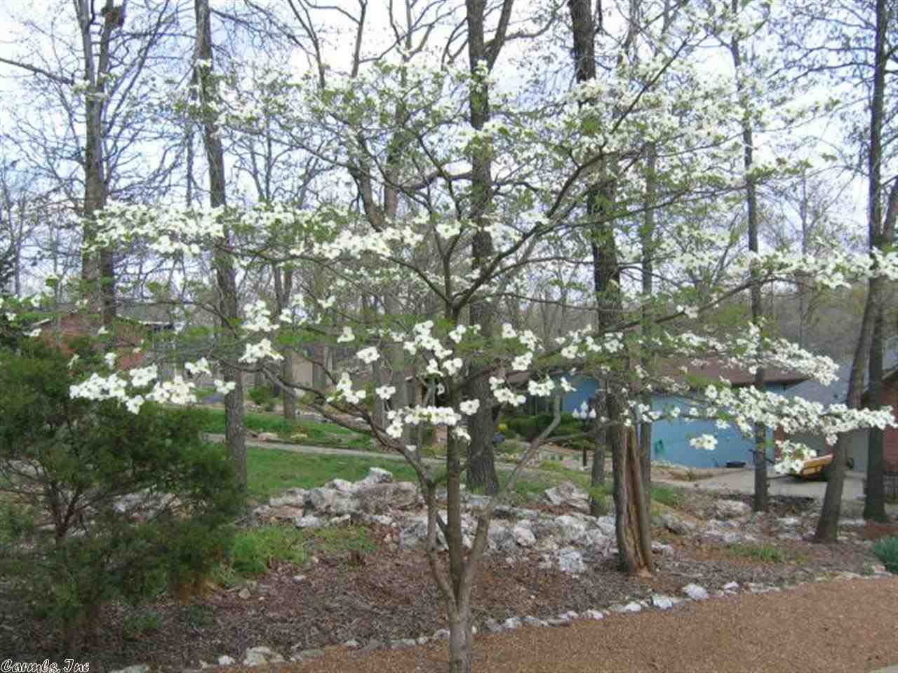 Cherokee Village - Residential