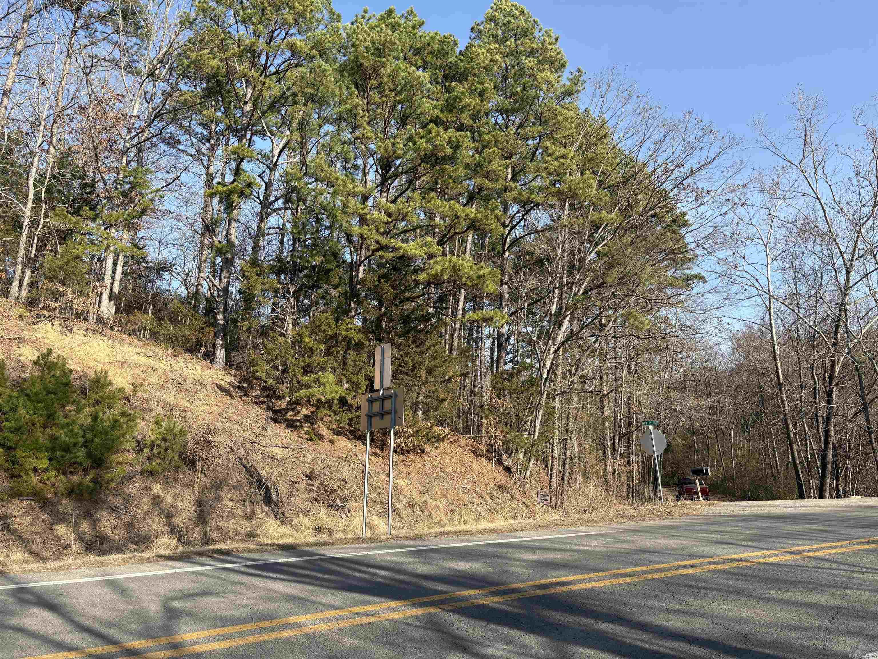 This property is located on the Northwest corner of the intersection of Highway 9 and Highway 110.  The property has unlimited commercial potential or could be used for residential purposes. mineral rights convey.