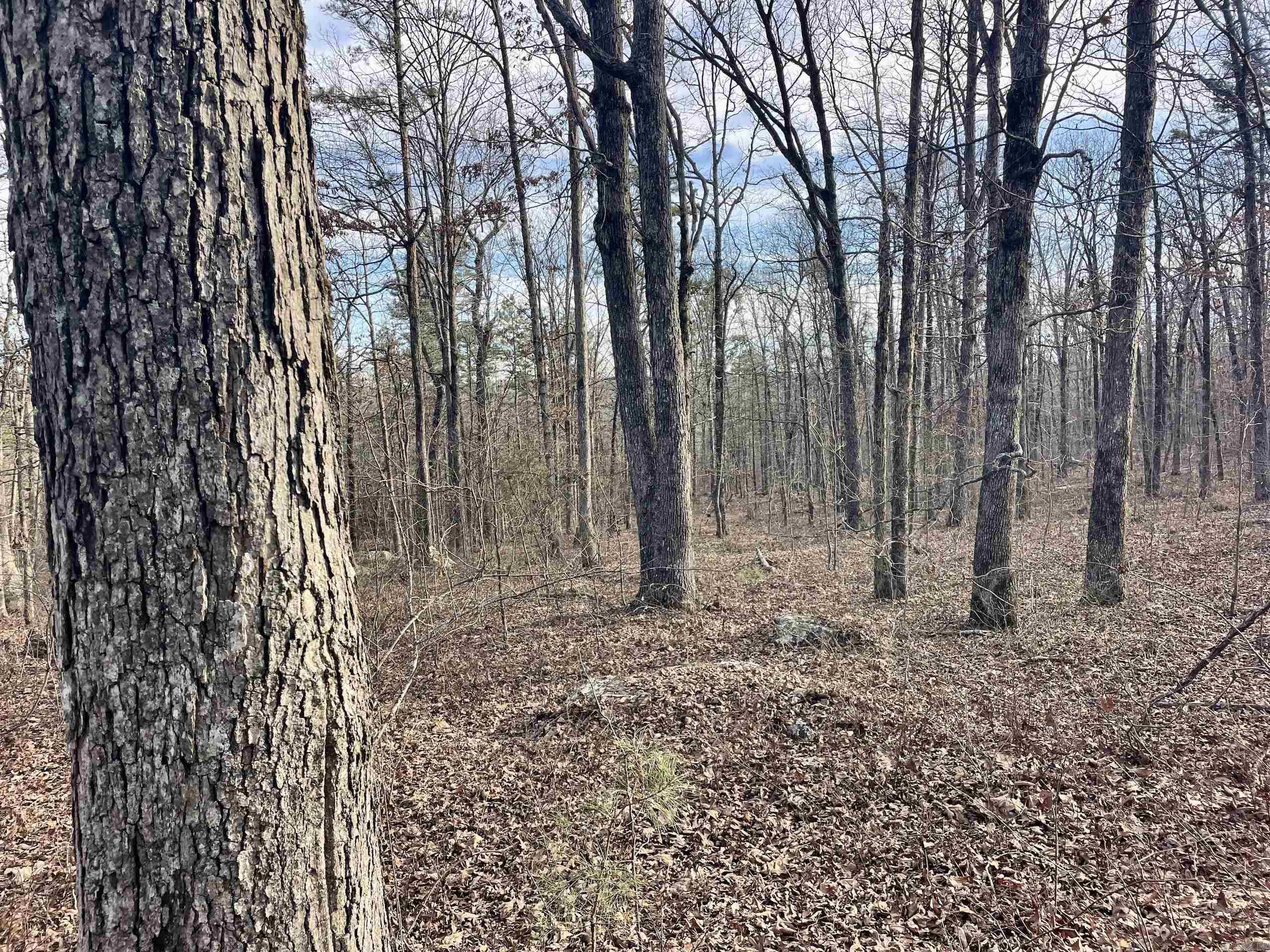 Not in Subdivision - Land