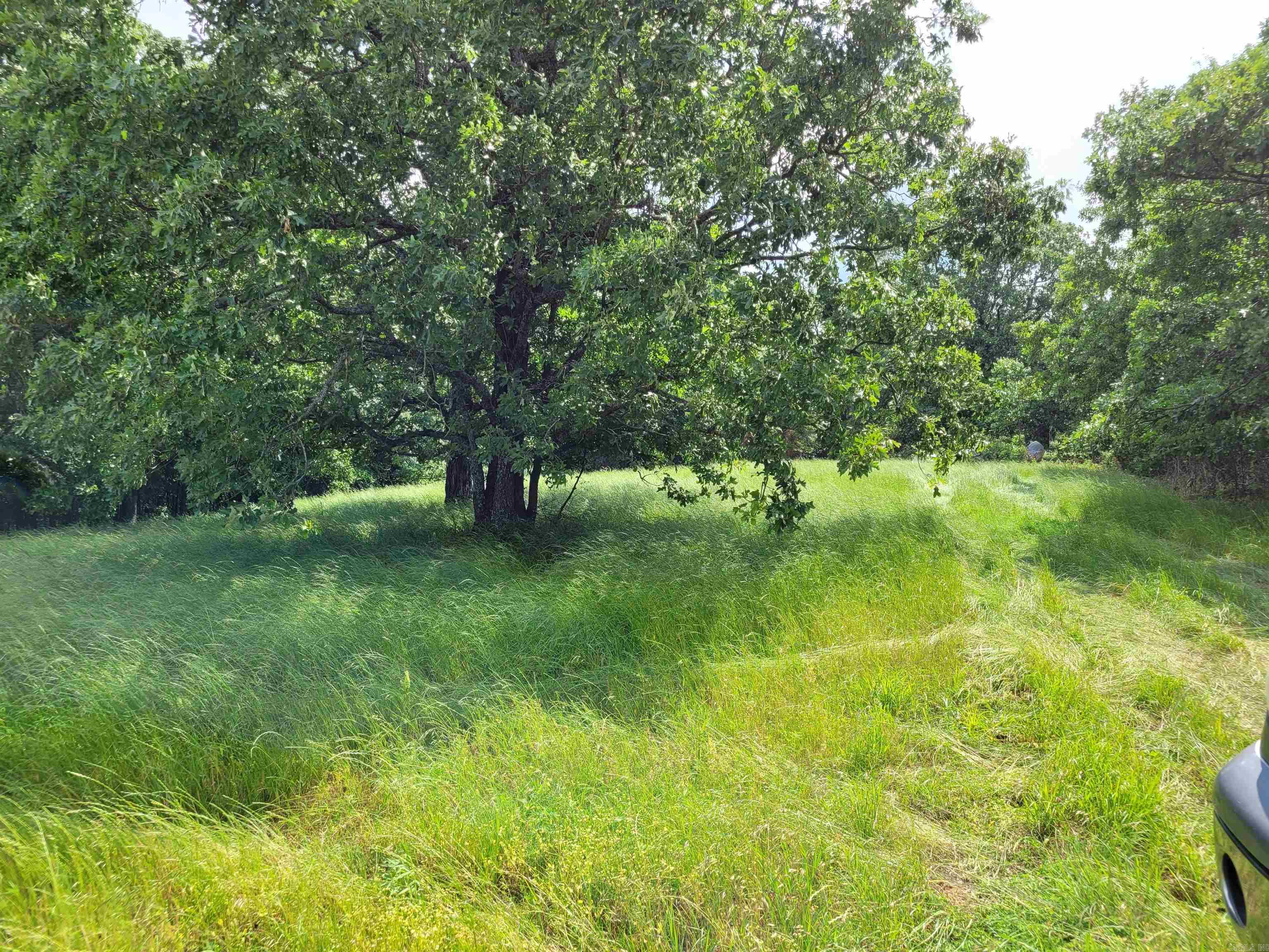Mountain Ranch Estates - Land