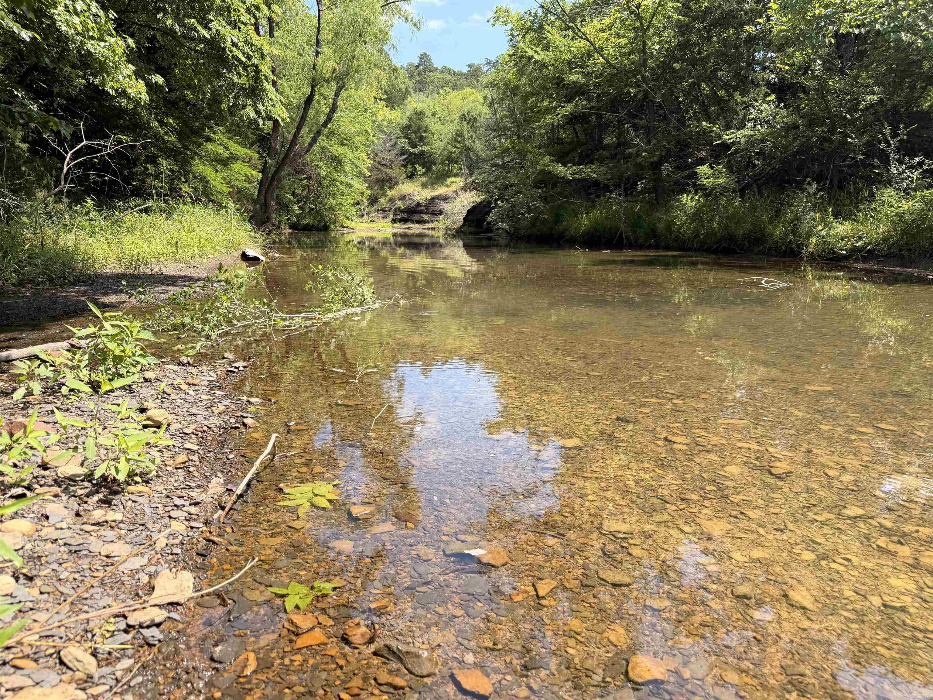 50 +/- acres of excellent hunting/recreational property with frontage on Orten creek and two ponds. This tract is located in Logan County near the community of Lucas. It consists of cedar glades and mixed hardwoods that will provide great hunting as is, but can be greatly improved with the addition of food plots in some of the glades. There is an existing ATV road through the wooods that has not been maintained, but could easily be put back in service for ease of access throughout the property. There will be a deeded easement provided at closing to provide access off of Dizzy Dean Road. No utilities are on the property currently, but power is not far away (will require a utility easement from the neighbor). If you are looking for a hunting property in this part of the state for well under $200,000, give this one a good look.