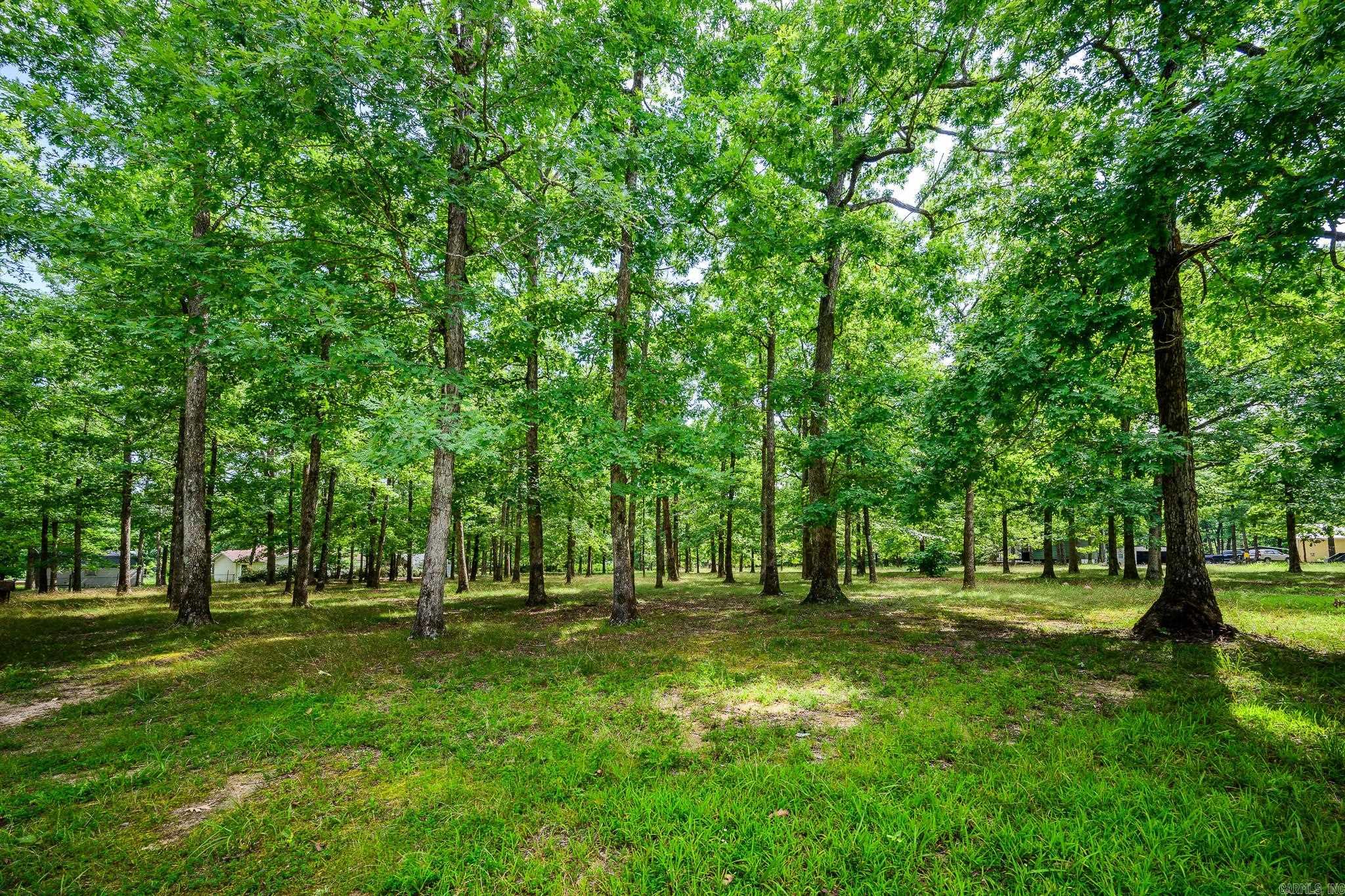 DOGWOOD SPRINGS - Residential