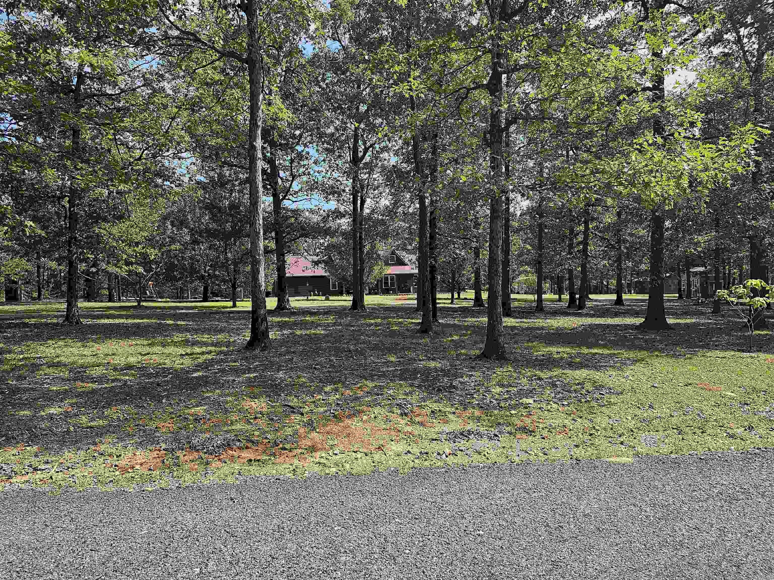 DOGWOOD SPRINGS - Residential