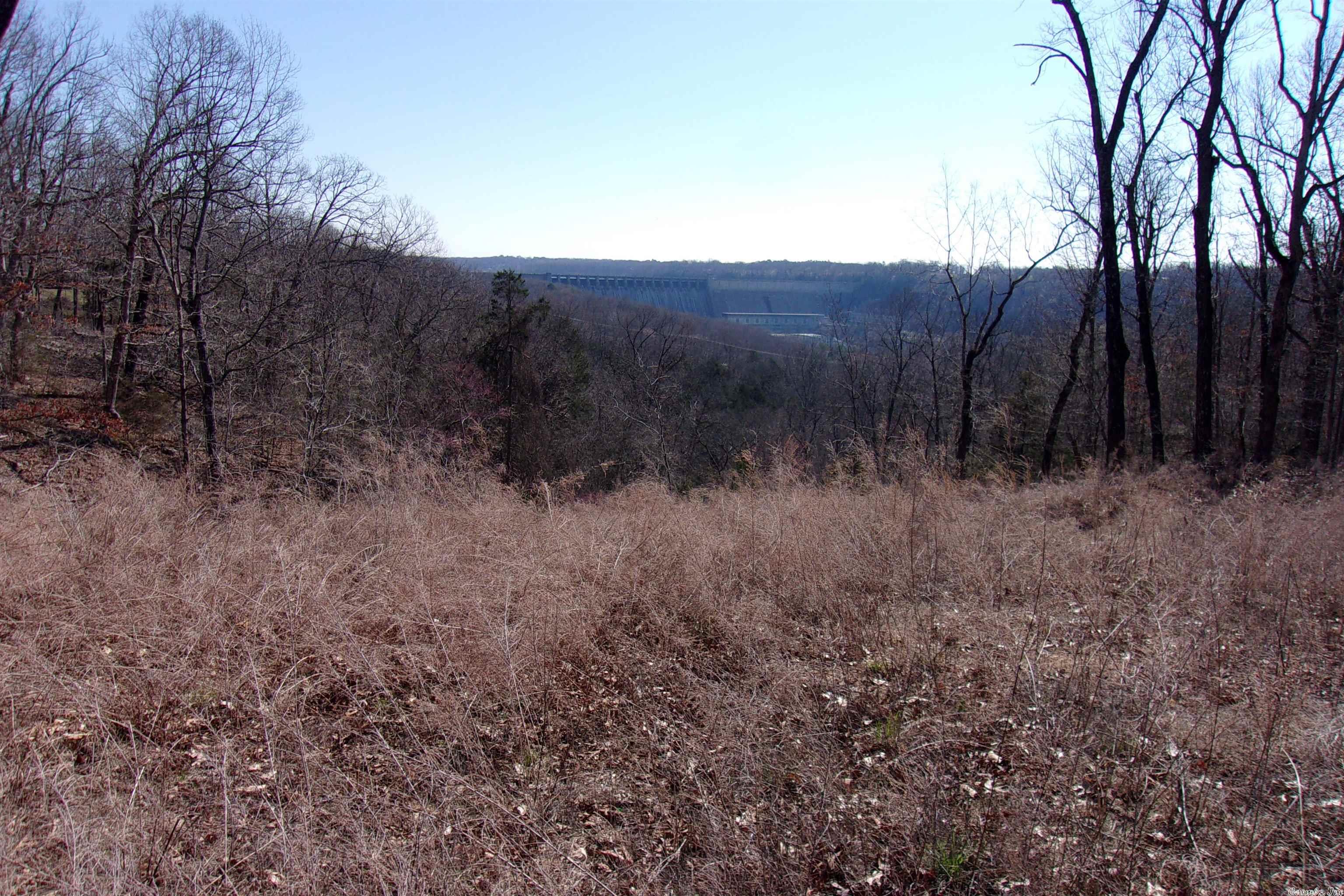 Amazing view of Bull Shoals Dam overlooking the White river. Partially cleared, some utilities available. Perfect place to build your home. $10,000