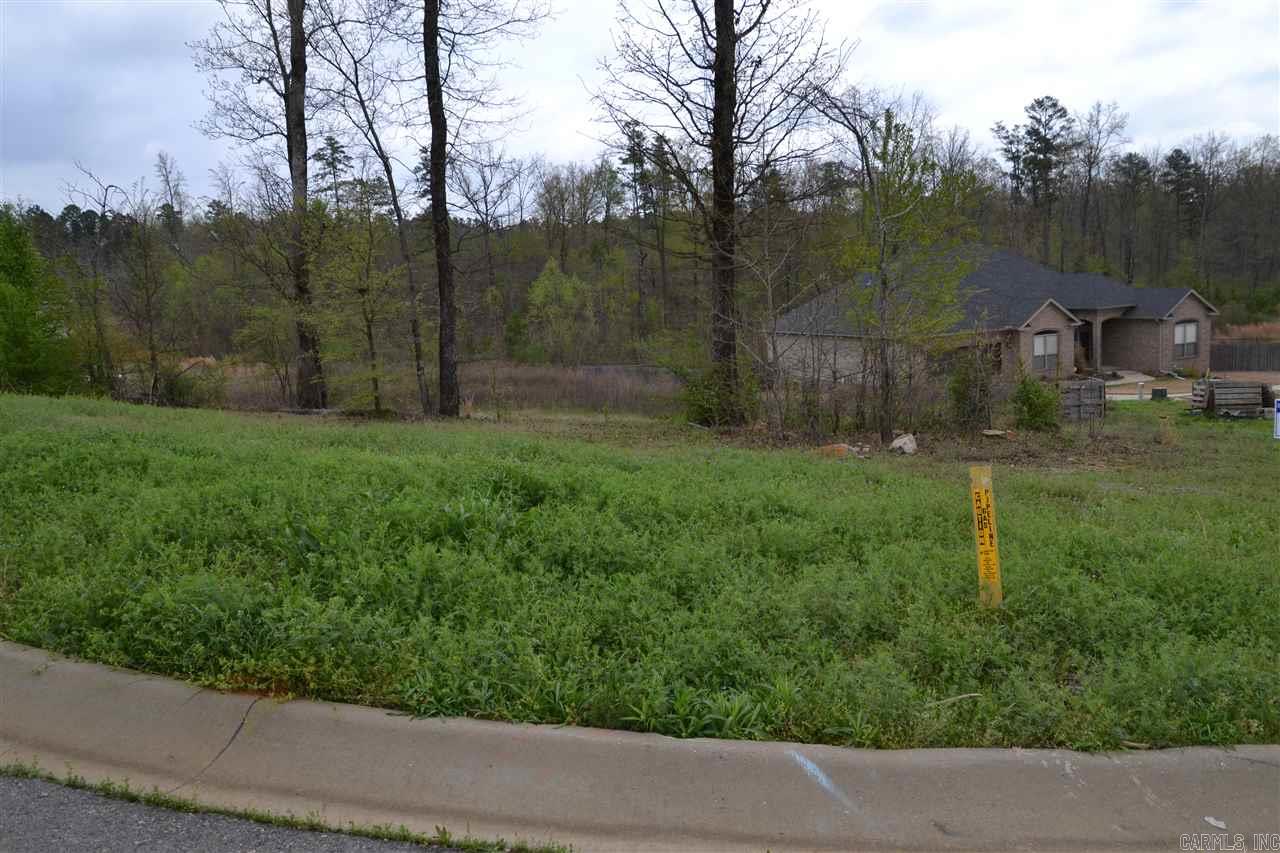 GREAT LOT, GREAT LOCATION, VERY CONVIENT TO EVERYTHING AT A GREAT PRICE!!
