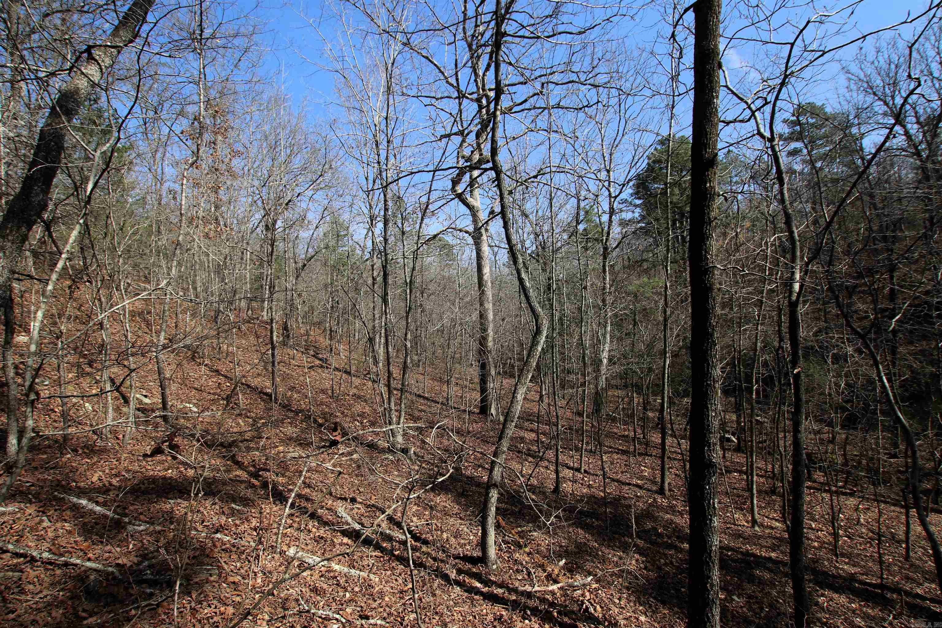 Not in Subdivision - Land