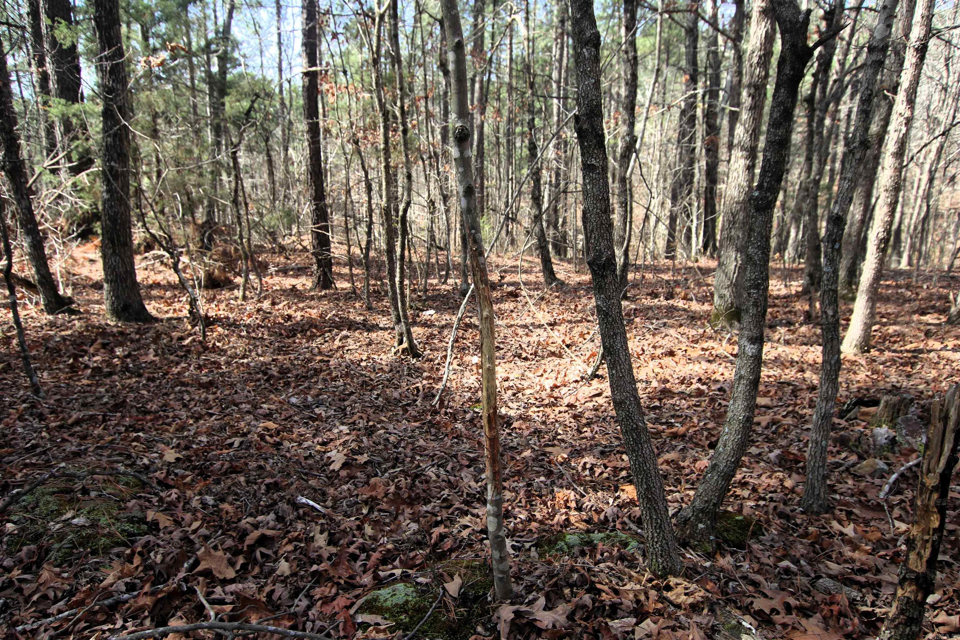 Not in Subdivision - Land