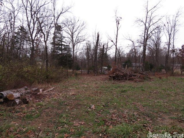 Bull Shoals - Land