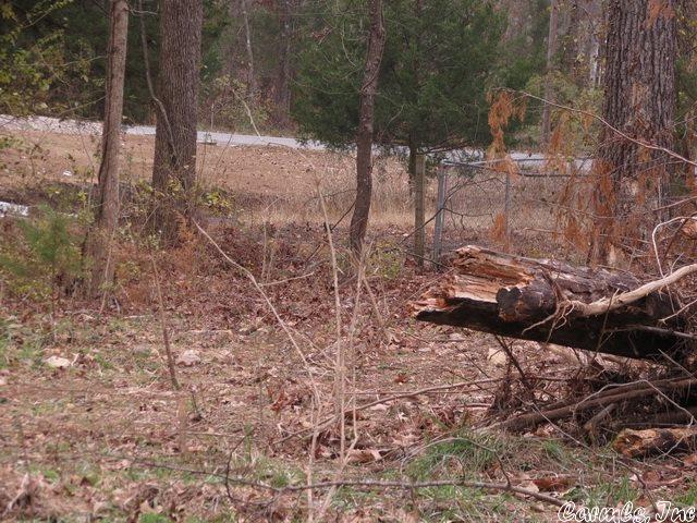 Bull Shoals - Land