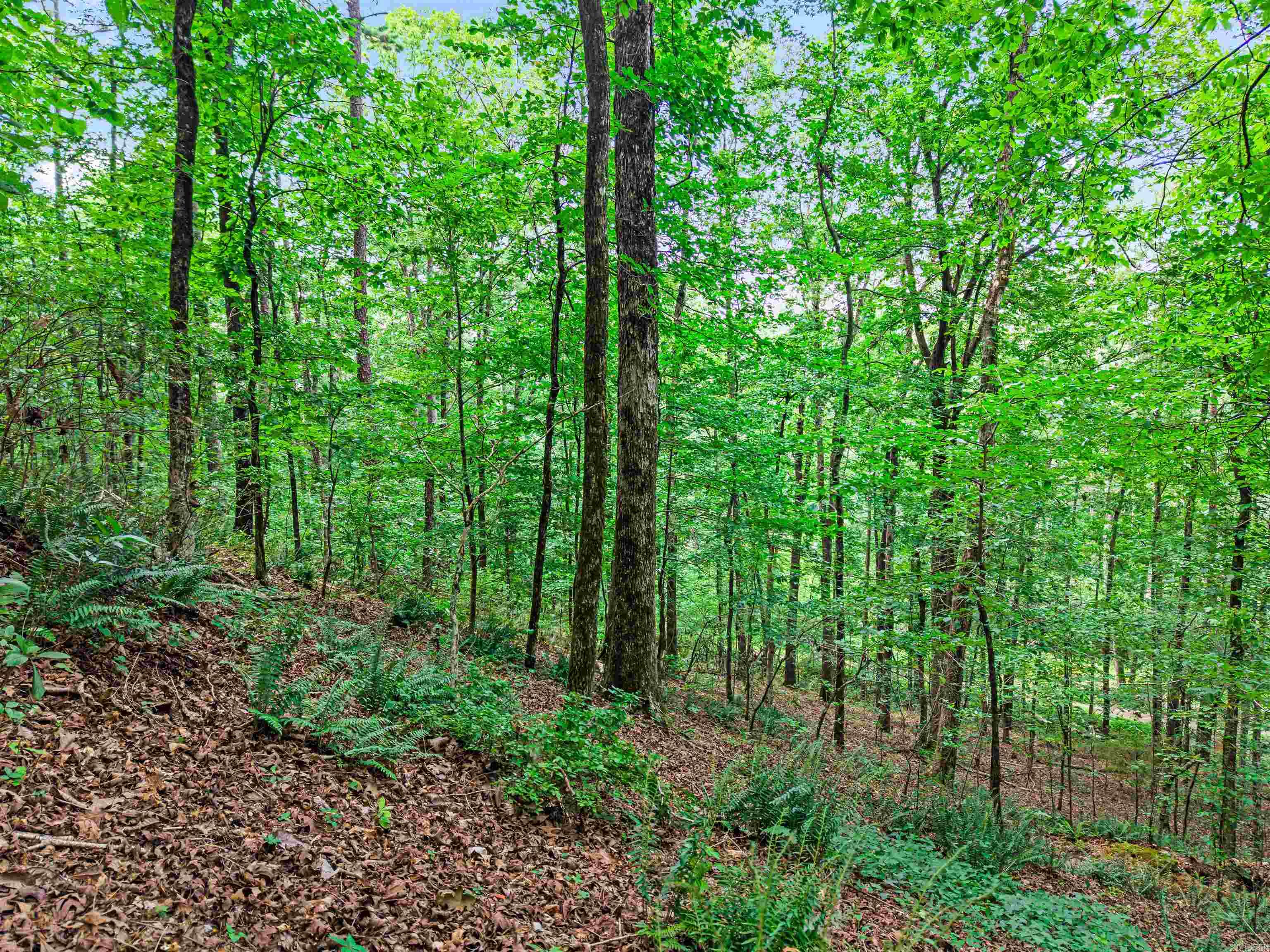 Scenic Acres Estates - Land