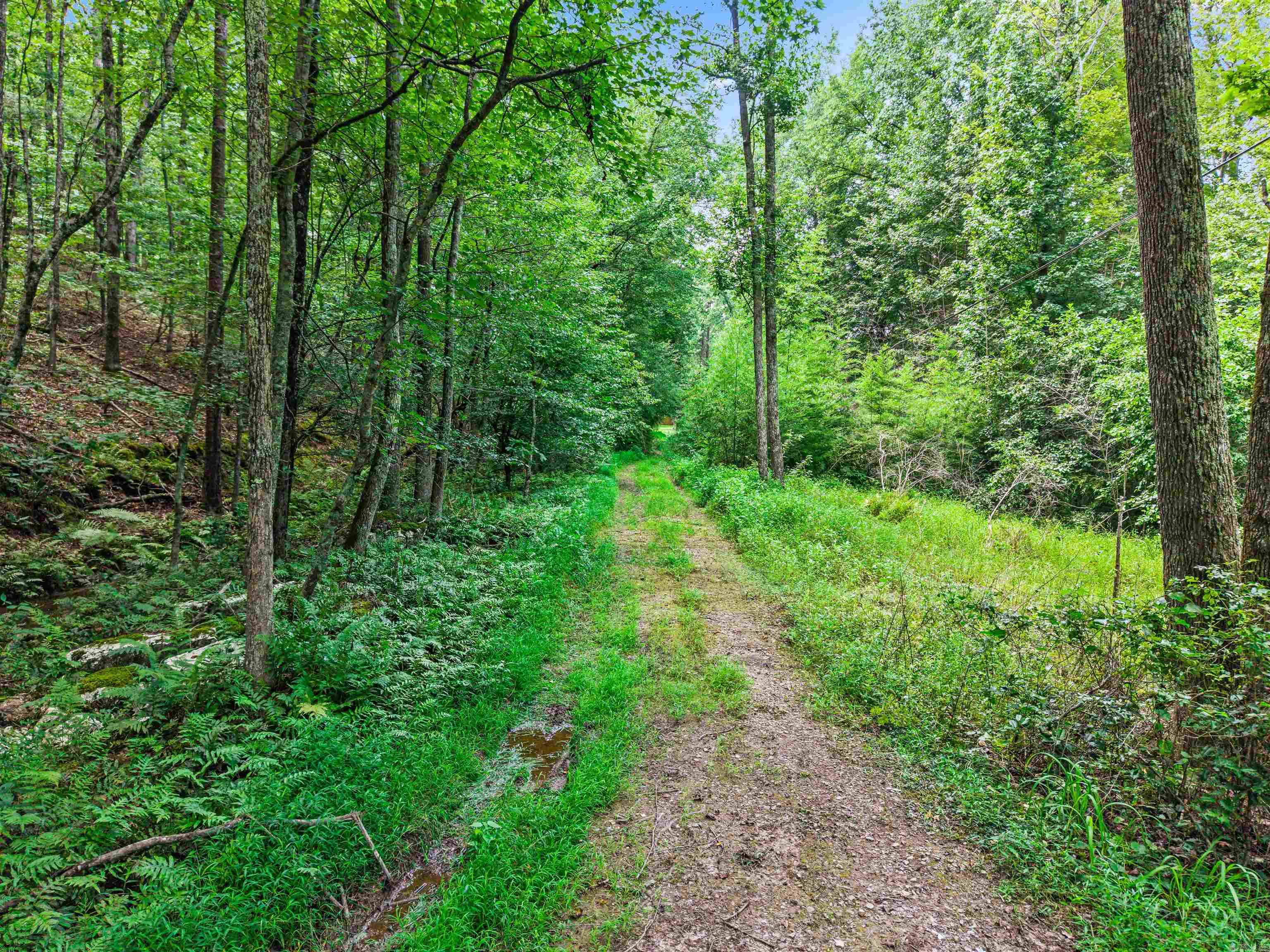 Scenic Acres Estates - Land