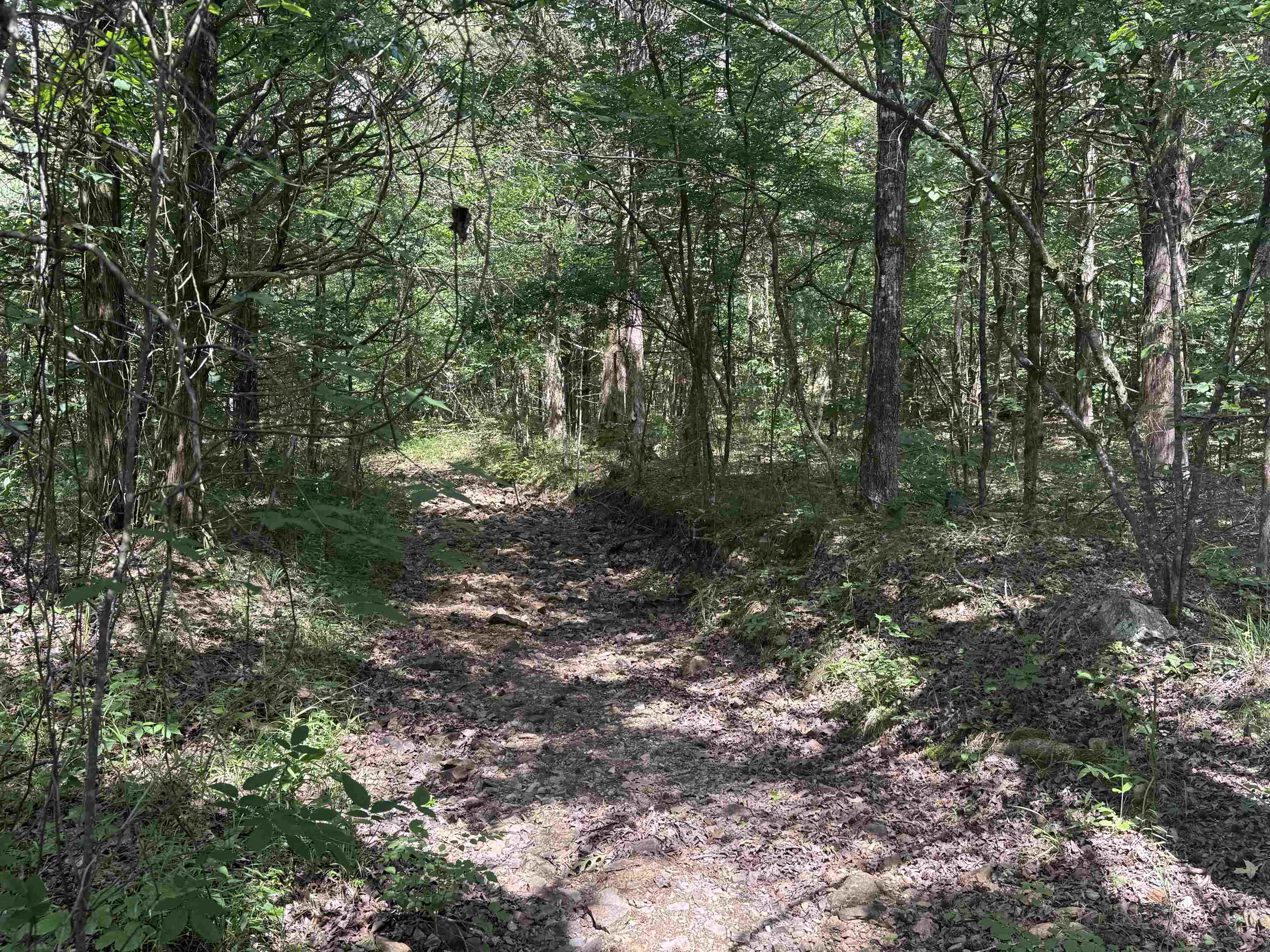 Discover the beauty of the Ozarks with this 4.71-acre wooded tract in Poughkeepsie, Arkansas. Featuring a wet weather creek winding through the property and established trails for easy access, this land is perfect for hunting, recreation, camping, or building your own private getaway. The natural terrain and mature timber provide seclusion and excellent wildlife habitat, while the trails make exploring the property simple and enjoyable. No utilities are currently on site, giving you a blank canvas to develop exactly how you want. Whether you’re looking for a peaceful retreat or an outdoor basecamp, this property offers endless potential in the heart of North Central Arkansas.