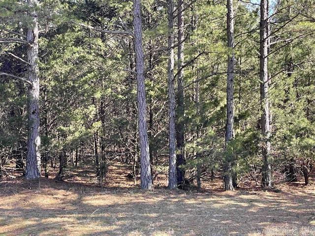 Welcome to your own slice of paradise in beautiful Fairfield Bay, Arkansas! This  lot offers the perfect opportunity to build your dream home in one of the most desirable locations in the state, with access to a wealth of amenities.  Just minutes away from stunning Greers Ferry Lake. Whether you're an avid fisherman, boater, or simply enjoy relaxing by the water, this location has something for everyone. But that's not all Fairfield Bay also offers a wide range of amenities to its residents, including 3 swimming pools, 2 18-hole golf courses, hiking and biking trails, ATV/UTV trails, pickleball and tennis courts, and a full-service marina. Whether you're looking for outdoor adventure, a friendly game of tennis, or a relaxing day by the pool, Fairfield Bay has you covered as well as any additional amenities you desire. With easy access to utilities and services, including water, sewer, and electricity, you'll have everything you need to make your dream a reality.  Buyer to pay all closing costs and title insurance.