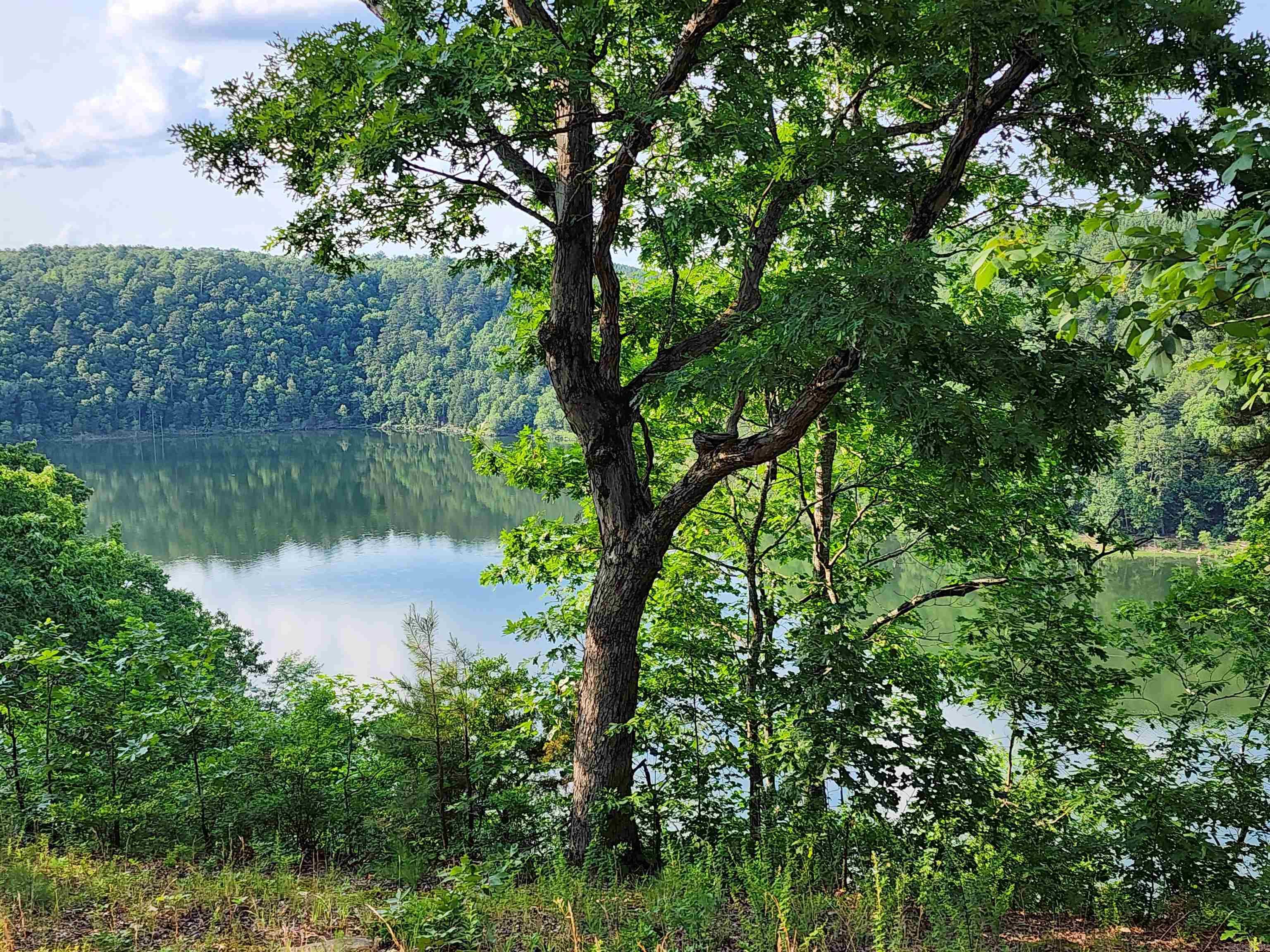 Live on top of the mountain & enjoy the lake view of Lake Barnett. Located on a paved road with gravel driveway & a location cleared for a great lake view. The lot actually has a pretty high bluff but is lake front. Access the lake just a block down the road to the community boat dock by ATV or walking trail. Lake Barnett is known for good Bass & Crappie fishing so no longer a need to drive off to search for a fishing spot. Do not go without a realtor, you will need a gate code to enter subdivision. Located in a gated community. No mineral rights available. See agent remarks.