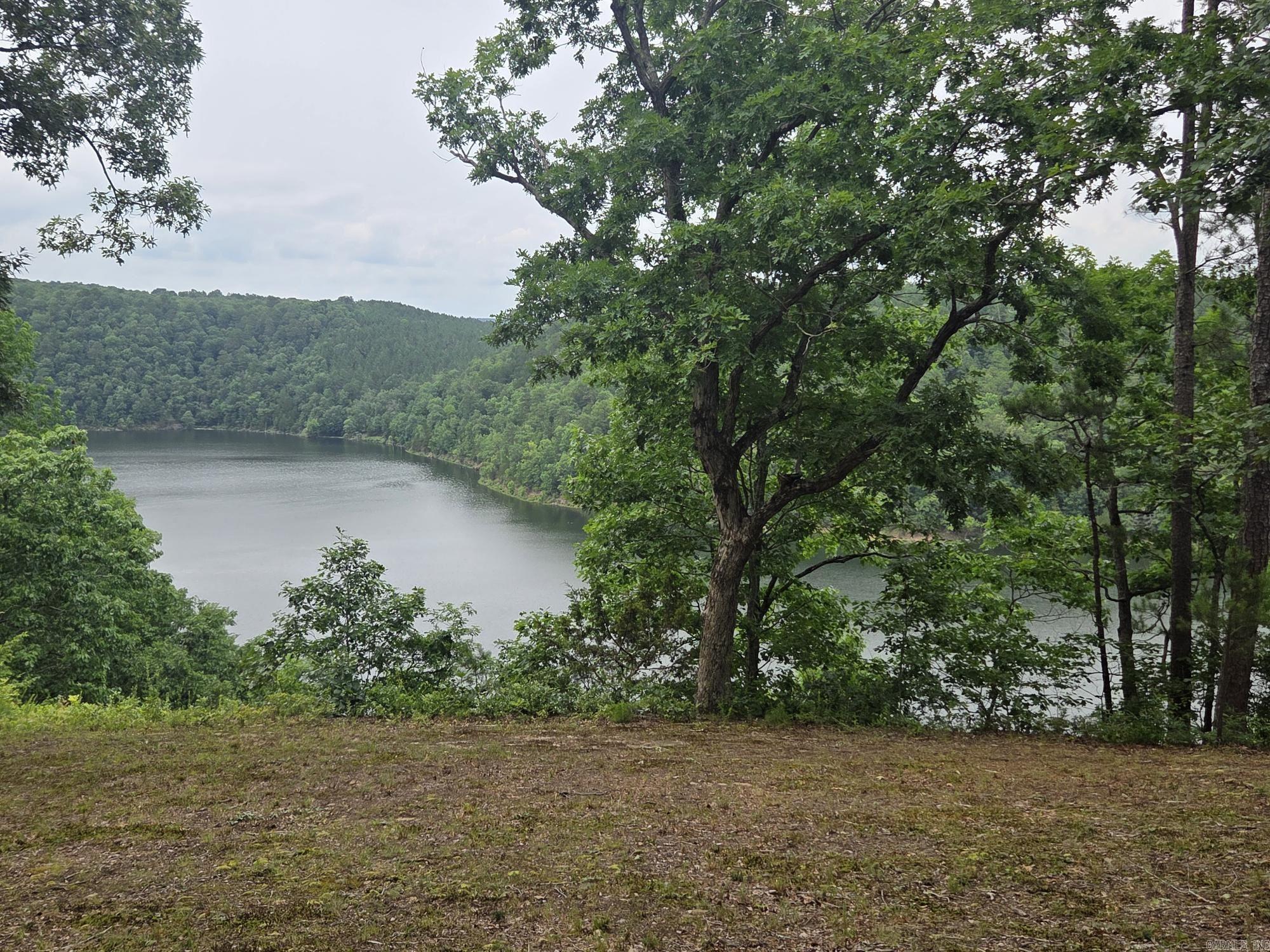 Sylvia Finch Misty Mountain - Land