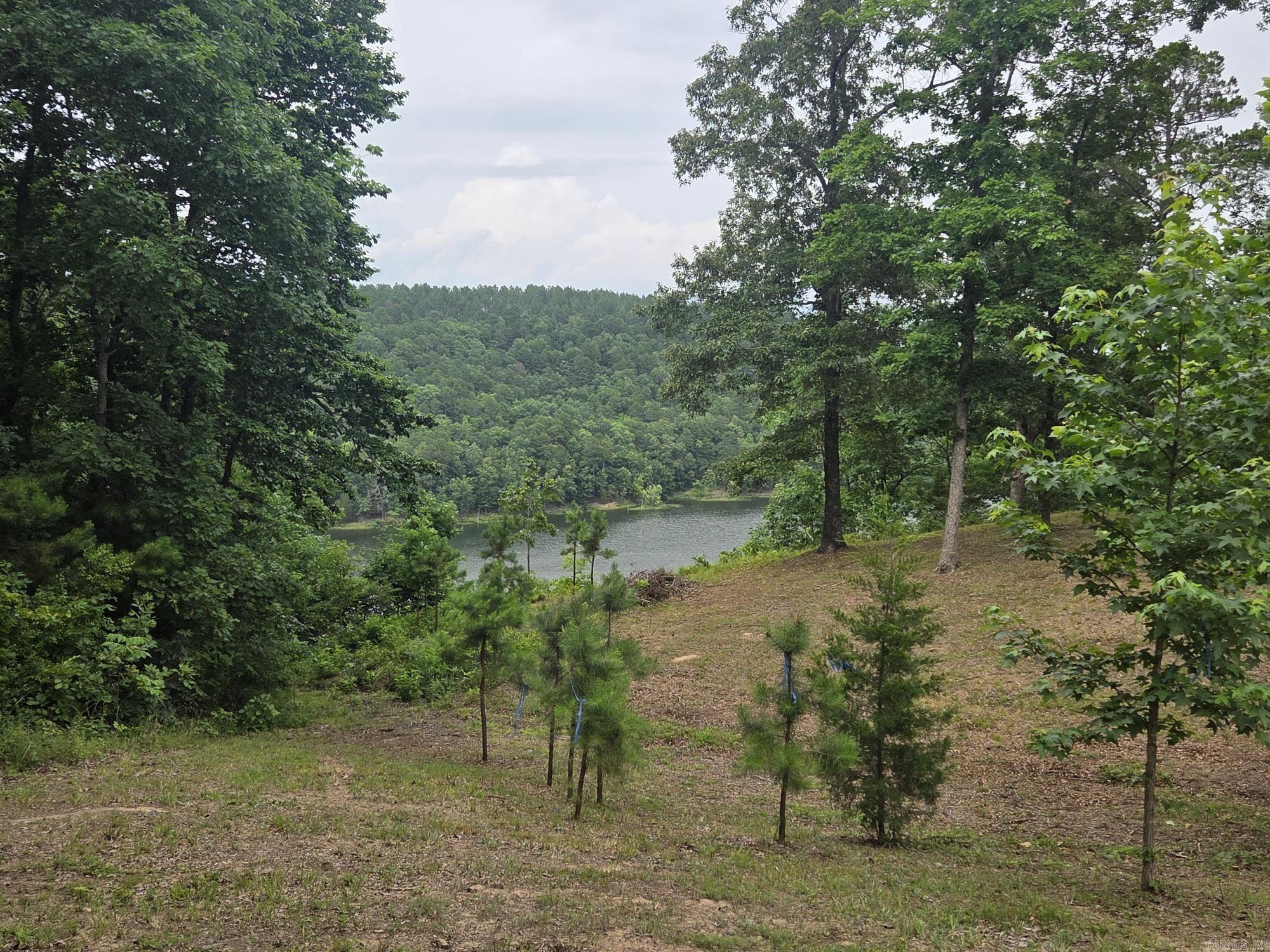 Sylvia Finch Misty Mountain - Land