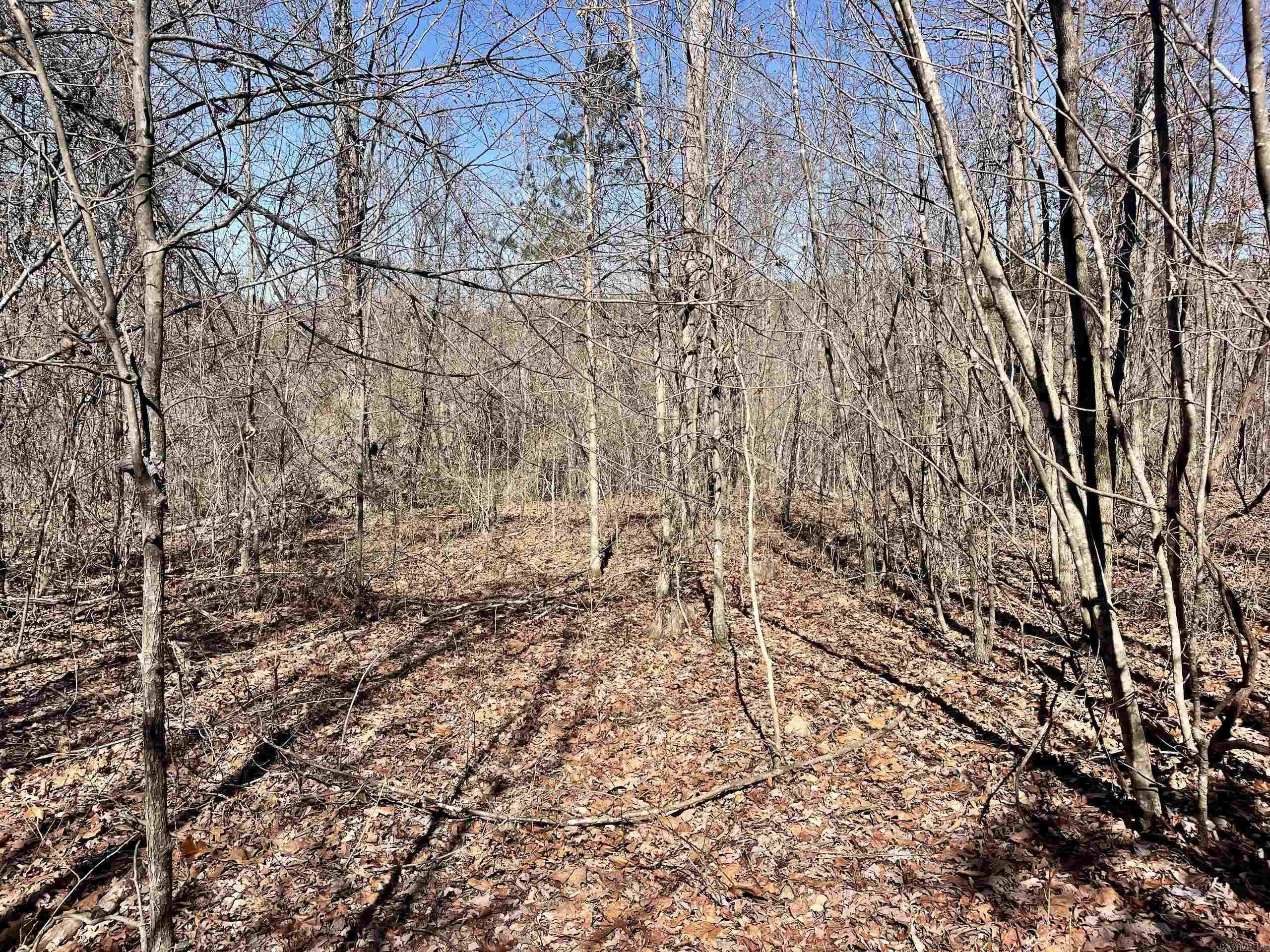 Not in Subdivision - Land