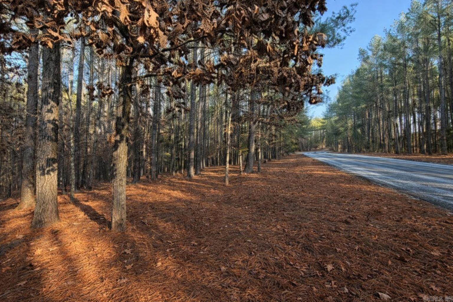 Vacant lot in Hot Springs Village - come make this one your dream spot or purchase to enjoy all the Village can offer. Walking distance to the Golf Course!