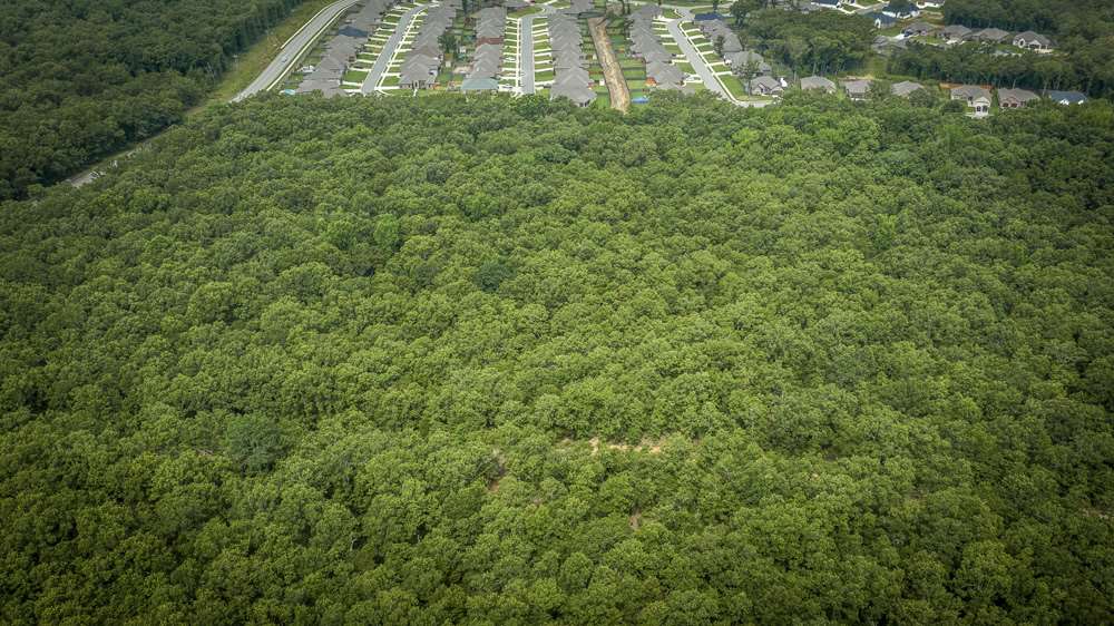 3N-11-28 - Commercial Sale