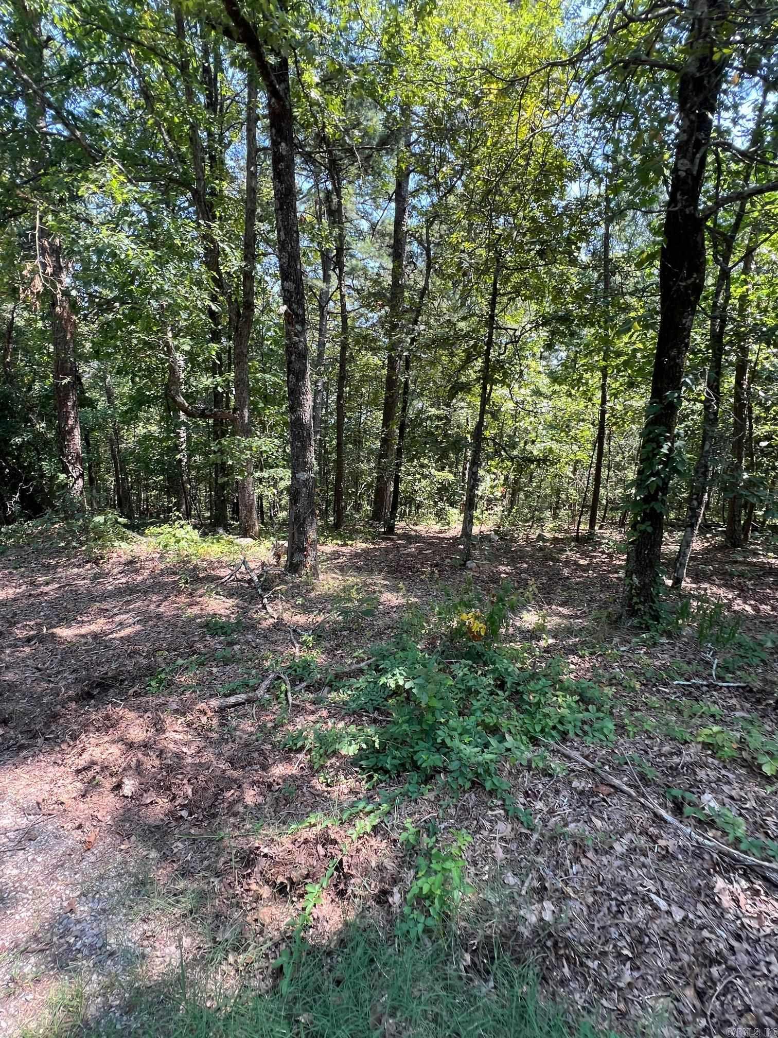 **Significantly Reduced and Priced for a Quick Sale!**  This one-acre lot in Hot Springs Village has just undergone a major price reduction, creating an exceptional opportunity for buyers looking for value in one of Arkansas’s premier gated communities. Ideally situated near the main entrance for convenient access, the property offers beautiful natural surroundings and the perfect setting for a custom home, retirement retreat, or weekend getaway. Residents enjoy world-class amenities including nine championship golf courses, multiple lakes, miles of hiking and biking trails, tennis courts, swimming pools, and a full lineup of community events. With **owner financing available** and a motivated seller, this lot is truly priced to move. Secure it while this rare opportunity lasts.