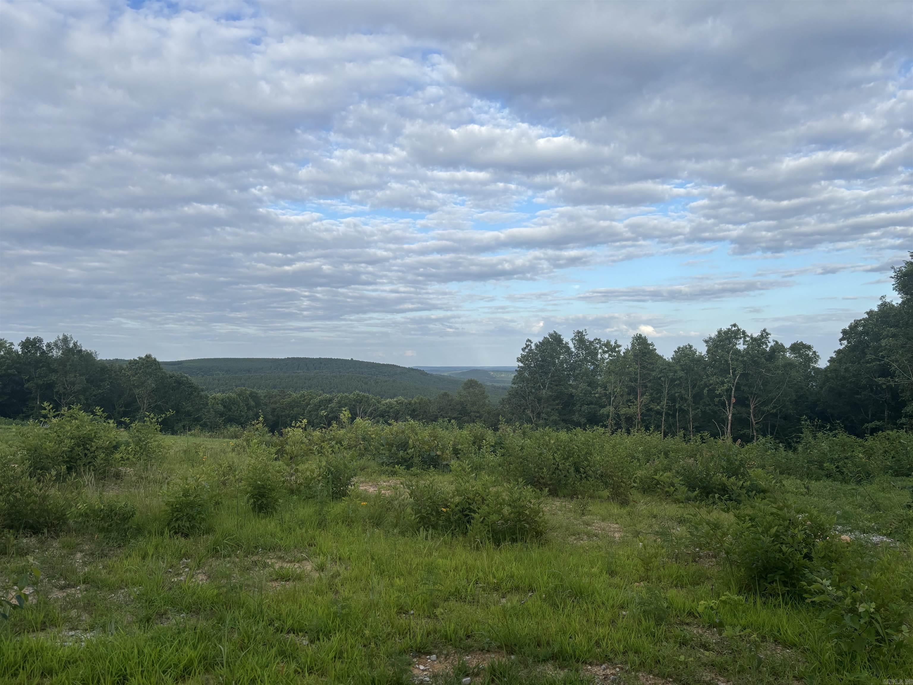 What a life-changing opportunity to buy 225 acres with sweeping views of rolling hills, mature timber, and a creek. Located near Drasco and just 10 minutes from Greers Ferry Lake, this property is ideal for hunting and outdoor recreation. The tract borders Green Bay Packing Company land and features a convenient, paved-road entrance. This rare beautiful, private parcel is waiting for you to enjoy and pass on to future generations. Please note that minerals do not convey.