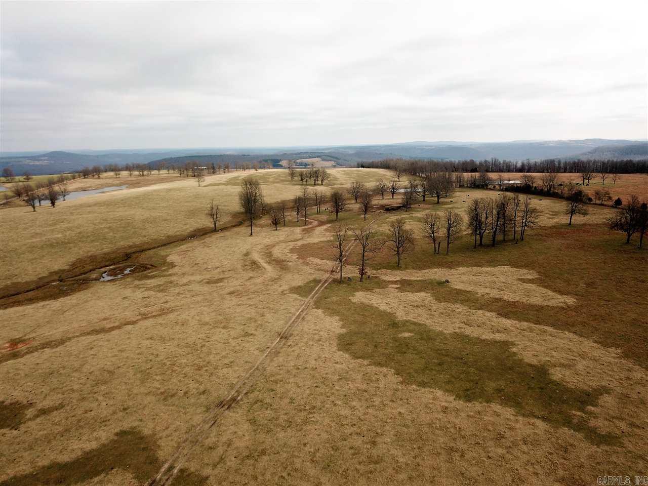 Searcy - Farm