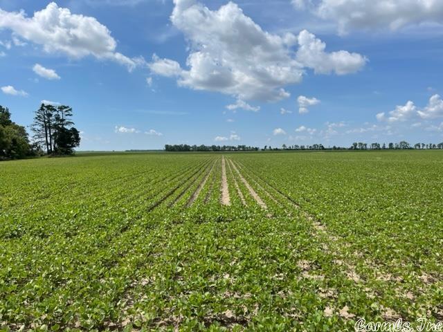 212.97 acres of good farm land beside the Mississippi River. It is protected by the levee system so it is not in a flood zone. It has two wells, one submersible and one gear driven. This field has not been precession leveled so the asking price is below what it would be if it was. The total cropland is 205.25 acres with the remaining balance of acreage being in draining ditches, roads and trees. See map and directions to find this land or call agent.