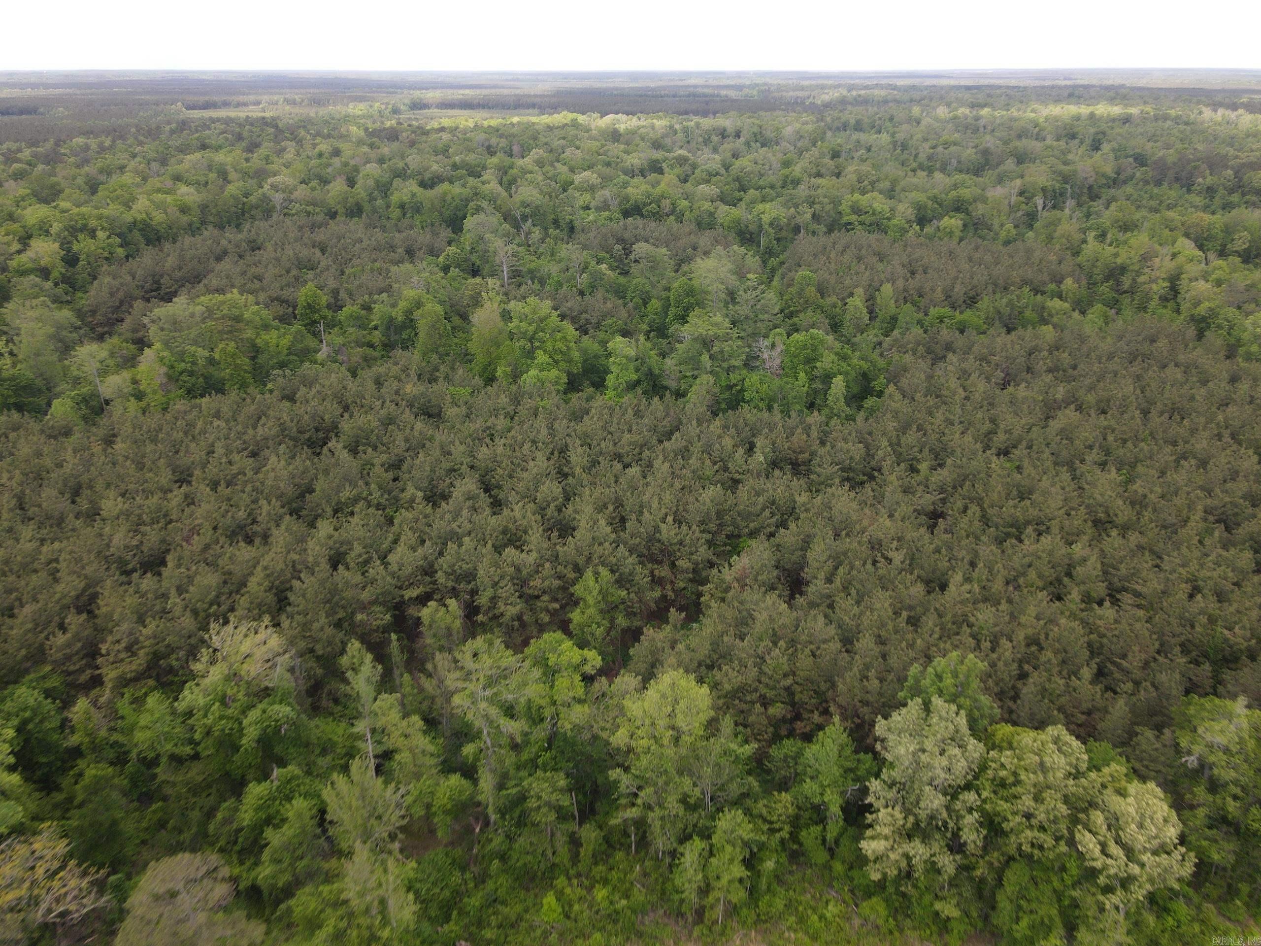 Discover the perfect blend of recreation and investment with this 40± acre tract in Ashley County near Hamburg, Arkansas. The property features a 15-year-old pine plantation, offering strong future timber income potential while providing excellent wildlife habitat.  A scenic creek runs through the tract, creating a natural corridor that supports deer, turkey, and hogs. The combination of pine timber, water, and cover makes this a prime hunting property.  Ideal for a weekend retreat, hunting tract, or long-term investment, the manageable size offers affordability and easy maintenance while still providing plenty of usable land.  Located near the Chemin-A-Haut Creek area, the property benefits from a region known for strong wildlife populations and recreational opportunities. Additional adjoining acreage is available for expansion.  Tract 3 Co-listed with Compass South, Inc.