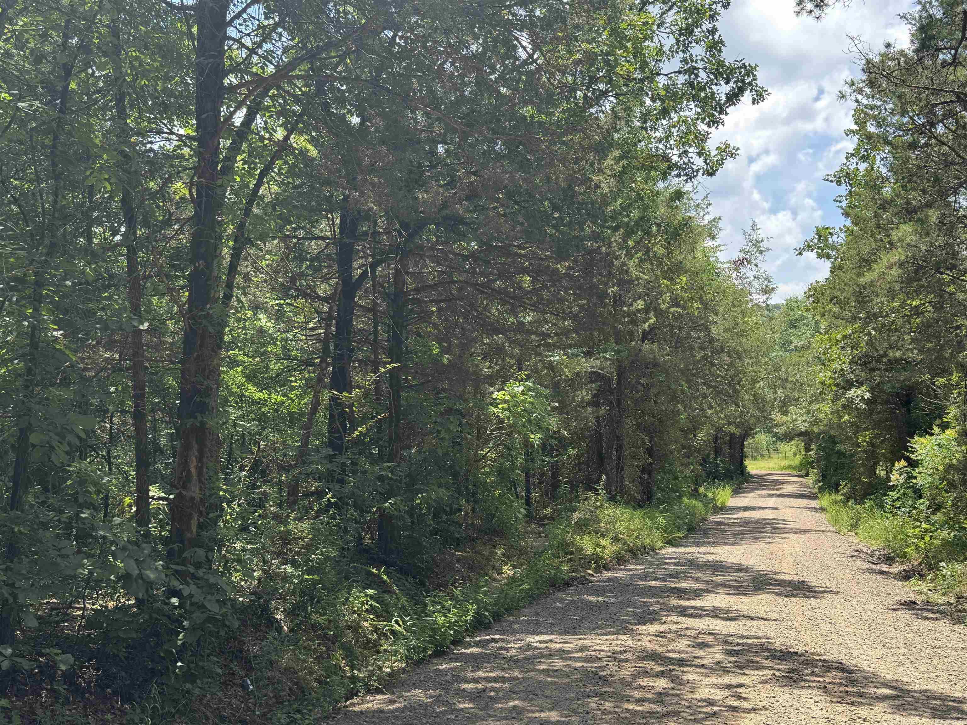 If you are looking for a small place in rural Arkansas, the Center Ridge 3 could be the perfect spot! This property is slightly sloping and features a beautiful mix of hardwoods and mature cedar trees. A lovely wet-weather branch runs through the center, offering a great potential location for a home or cabin.   The property also has electricity crossing the northern portion and road frontage along its entire length, providing easy access wherever you choose to build or place a stand. It's situated on a well-maintained gravel road with minimal neighbors and beautiful surroundings.