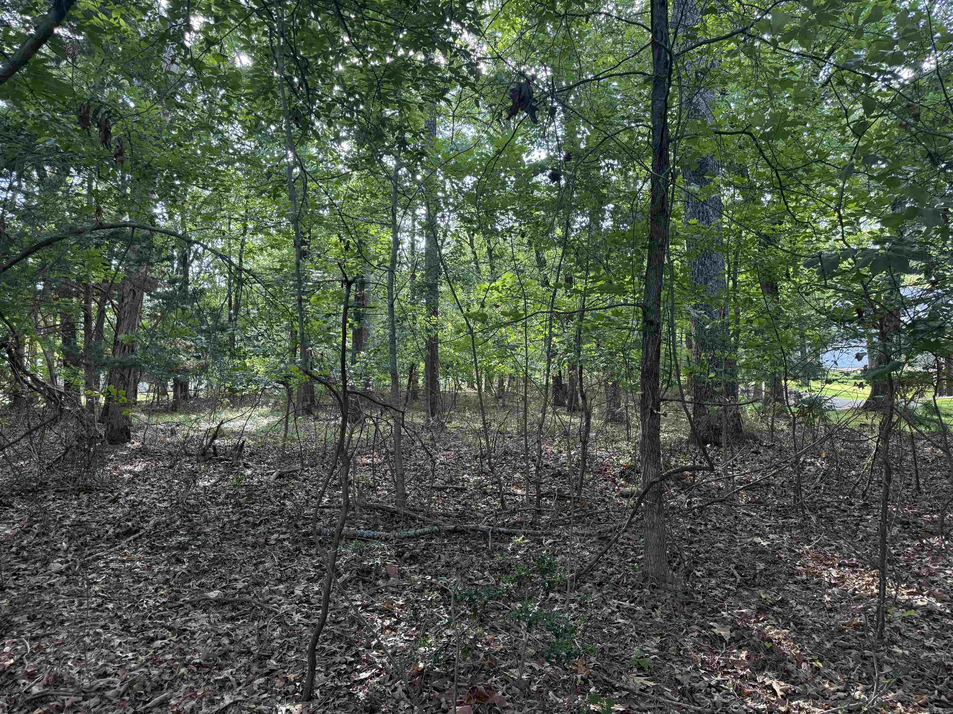 Birchwood - Land